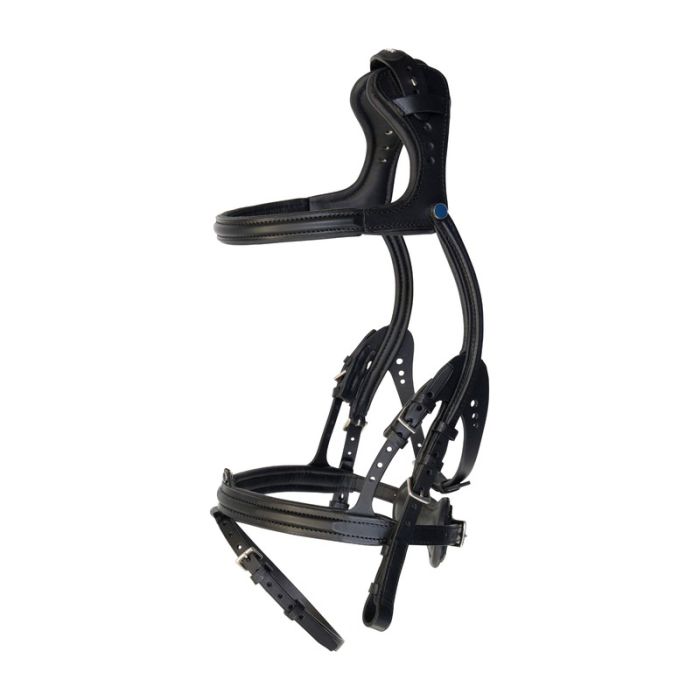 Freedom Bridle