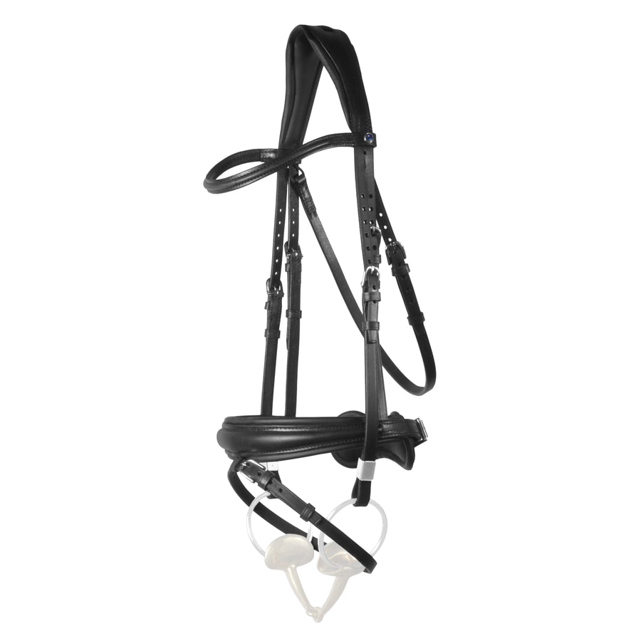 Switch Bridle