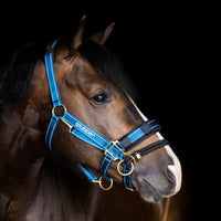 Controller for Stable Halter