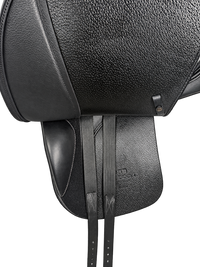 D Aramis II 17"/30cm