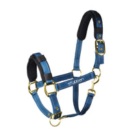 Reflective Stable Halter