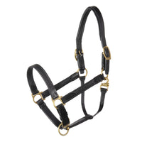 10603 Wrapped Stable Halter