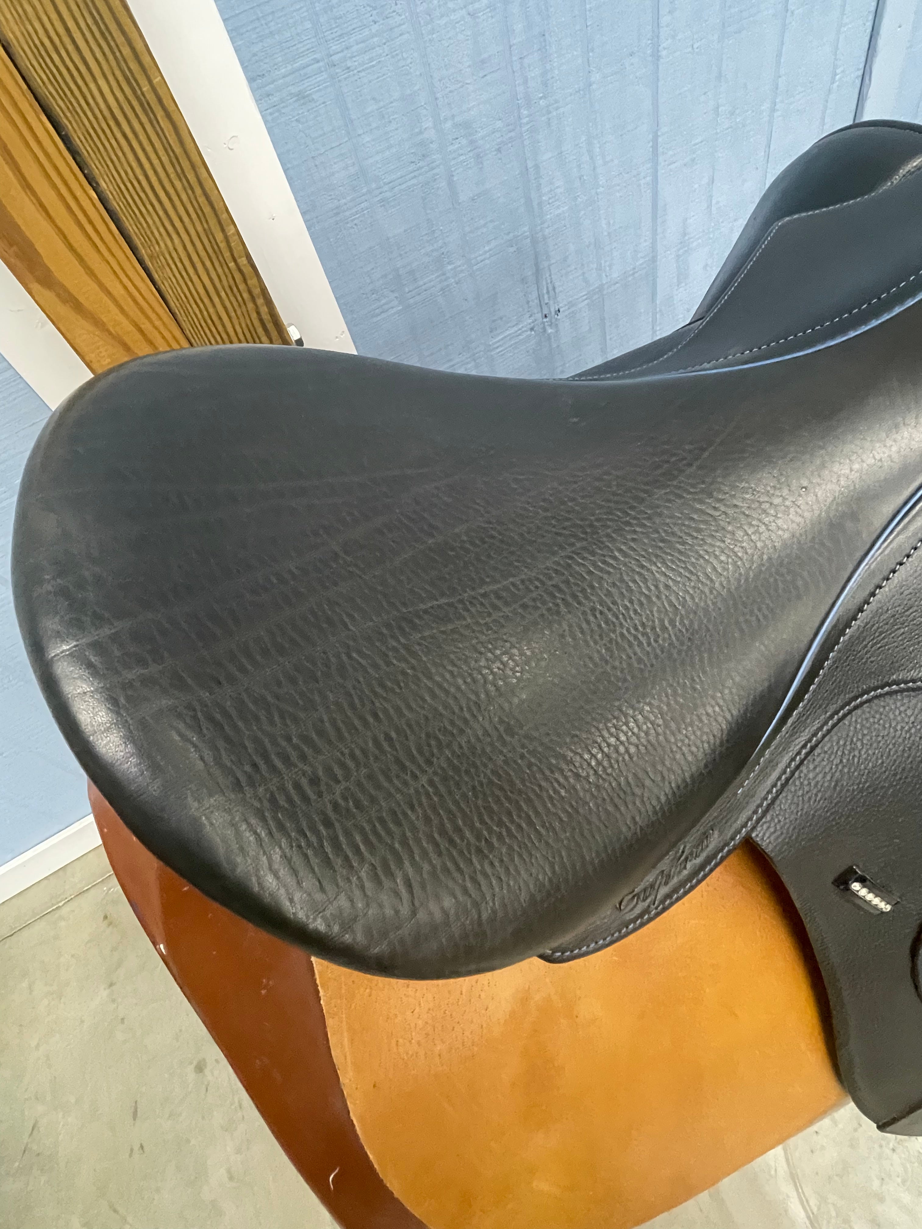 D Euphoria *17.5"/27cm*