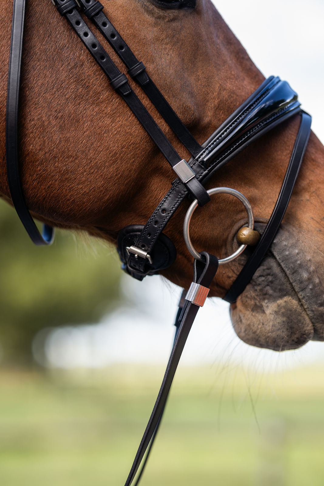Slide & Lock Clare Bridle