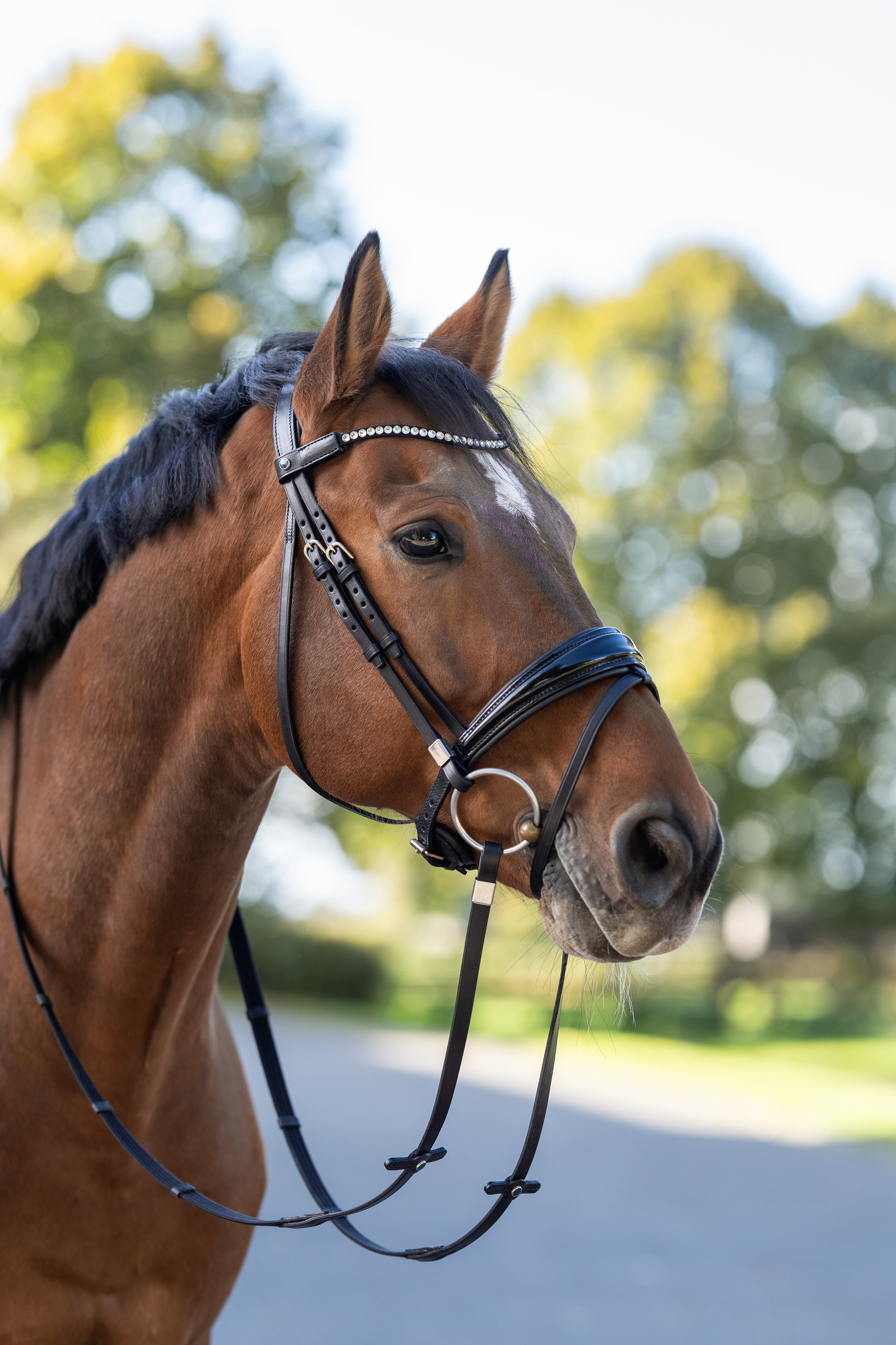 Slide & Lock Clare Bridle with Crystal Browband