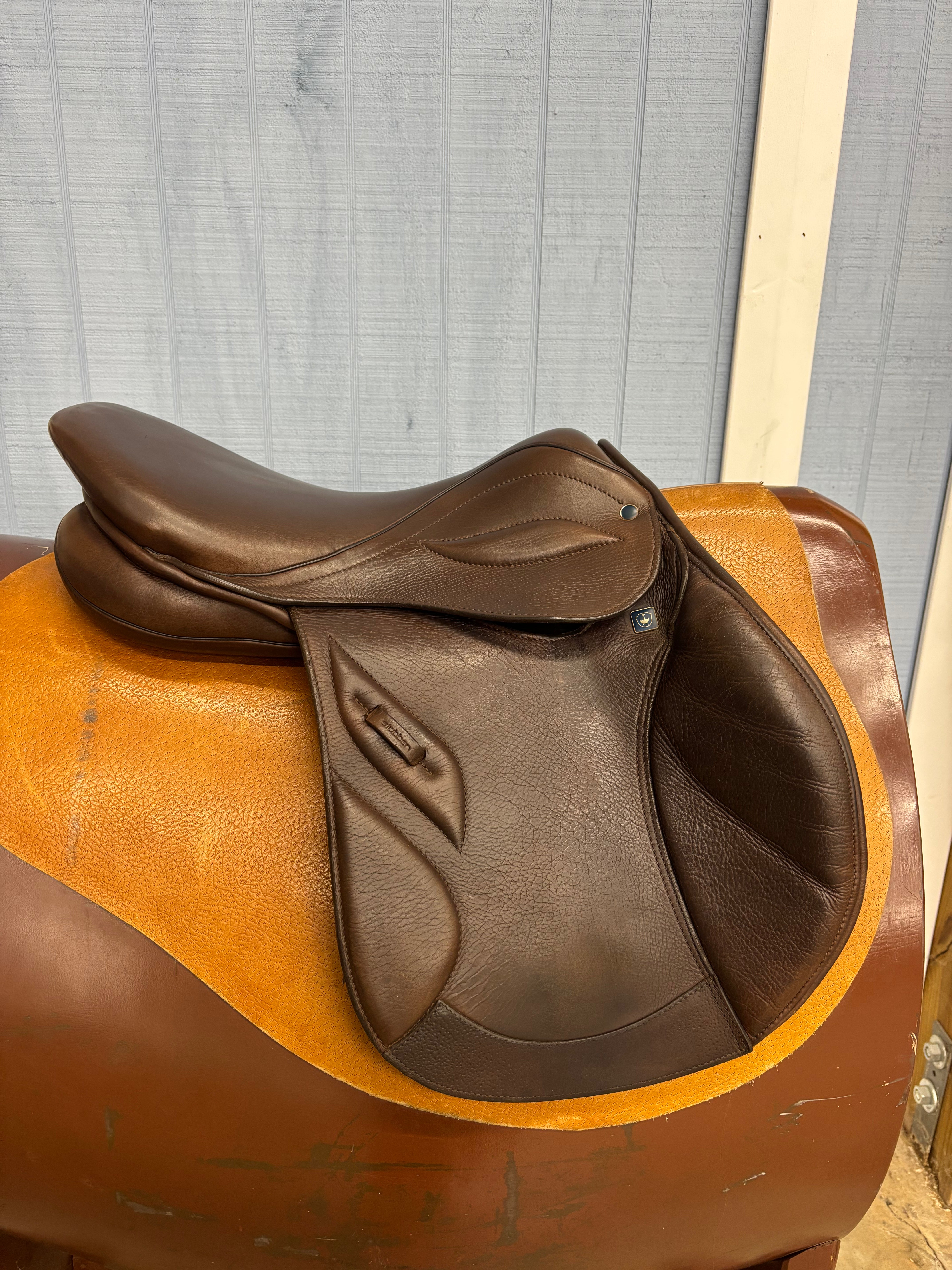 S Phoenix Elite *17"/29cm*