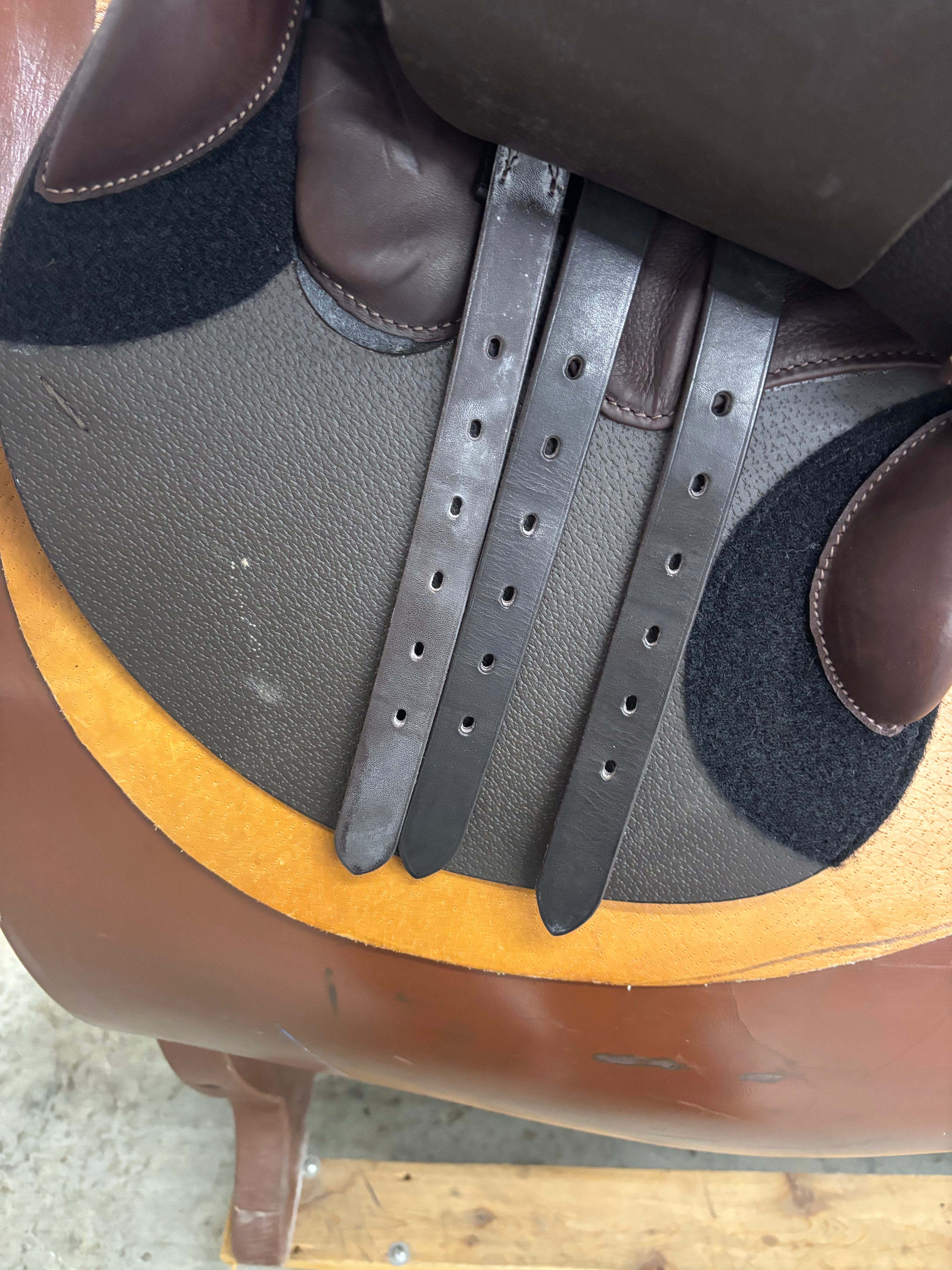 S Altitude *17"/29cm*