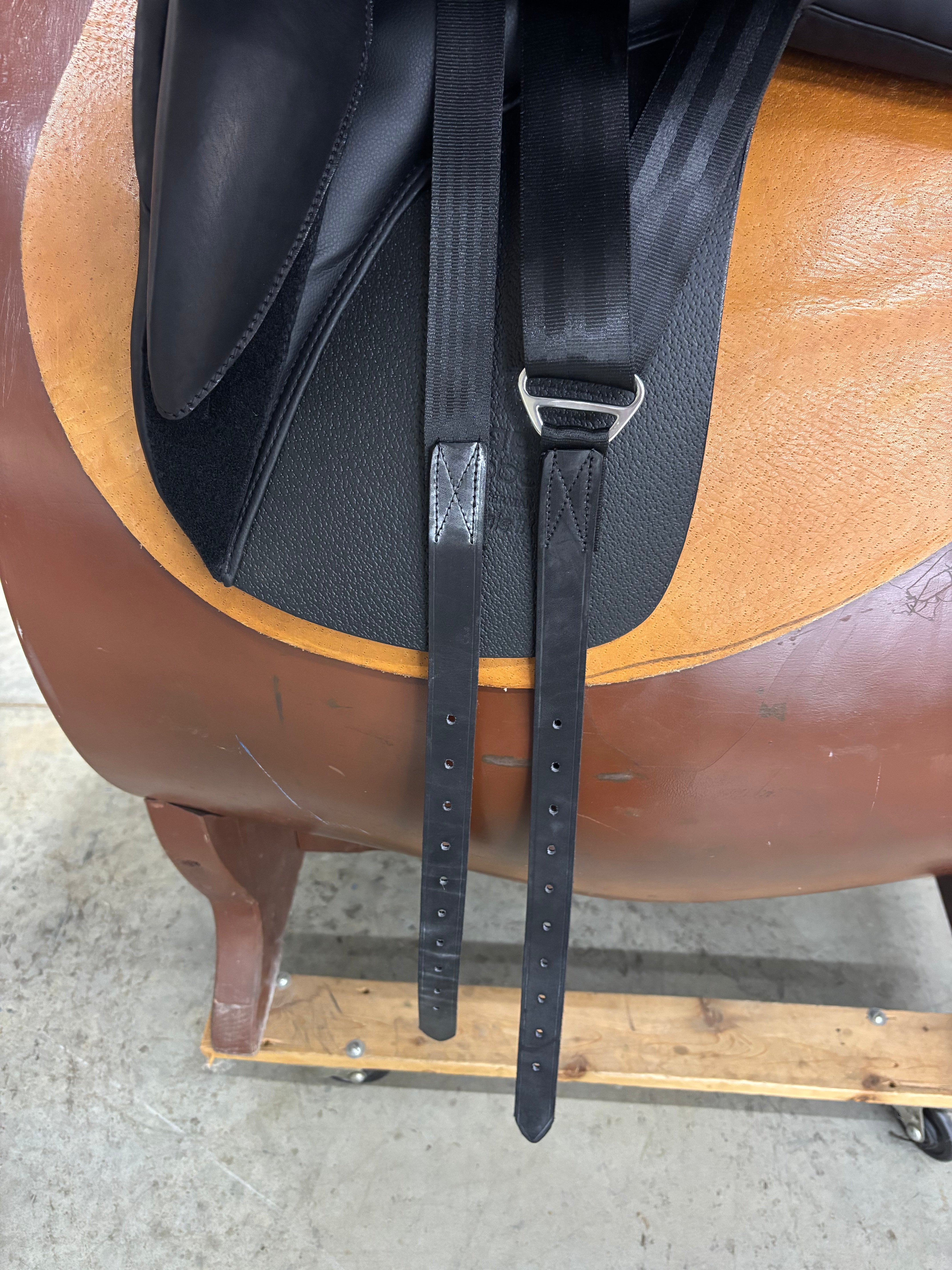 D Aramis II Grand Prix 17.5"/27cm
