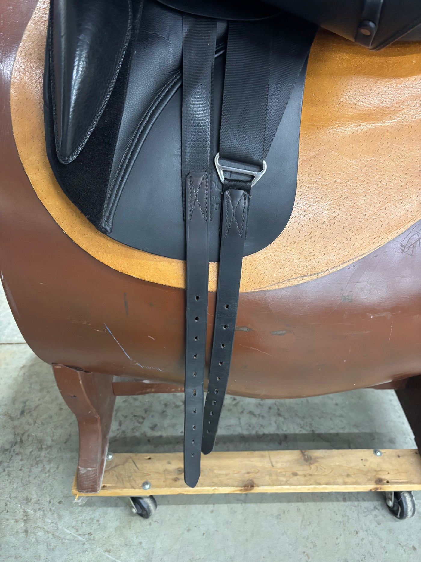 D Aramis II Grand Prix 18"/29cm