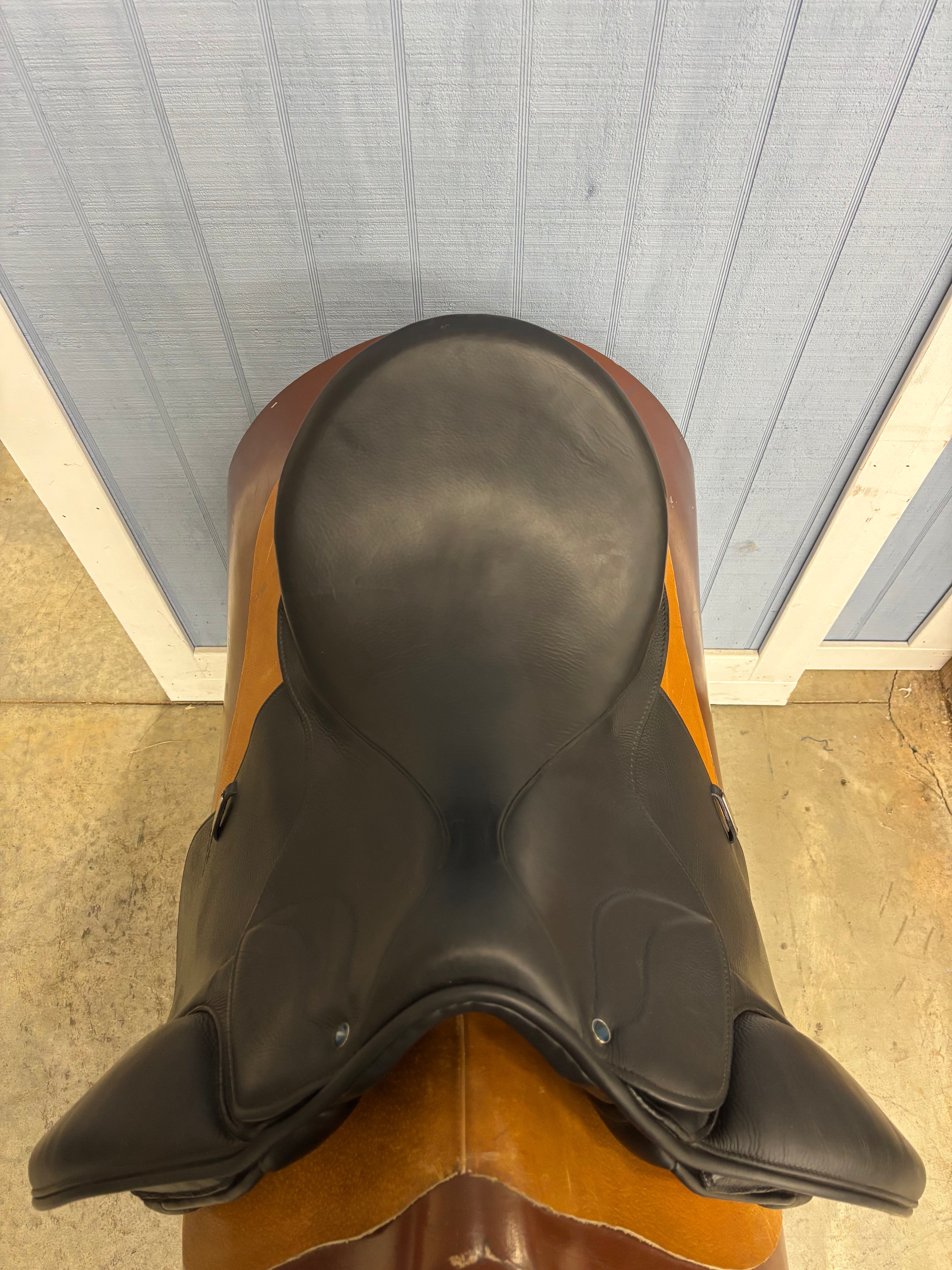 D Aramis II Grand Prix 18"/29cm