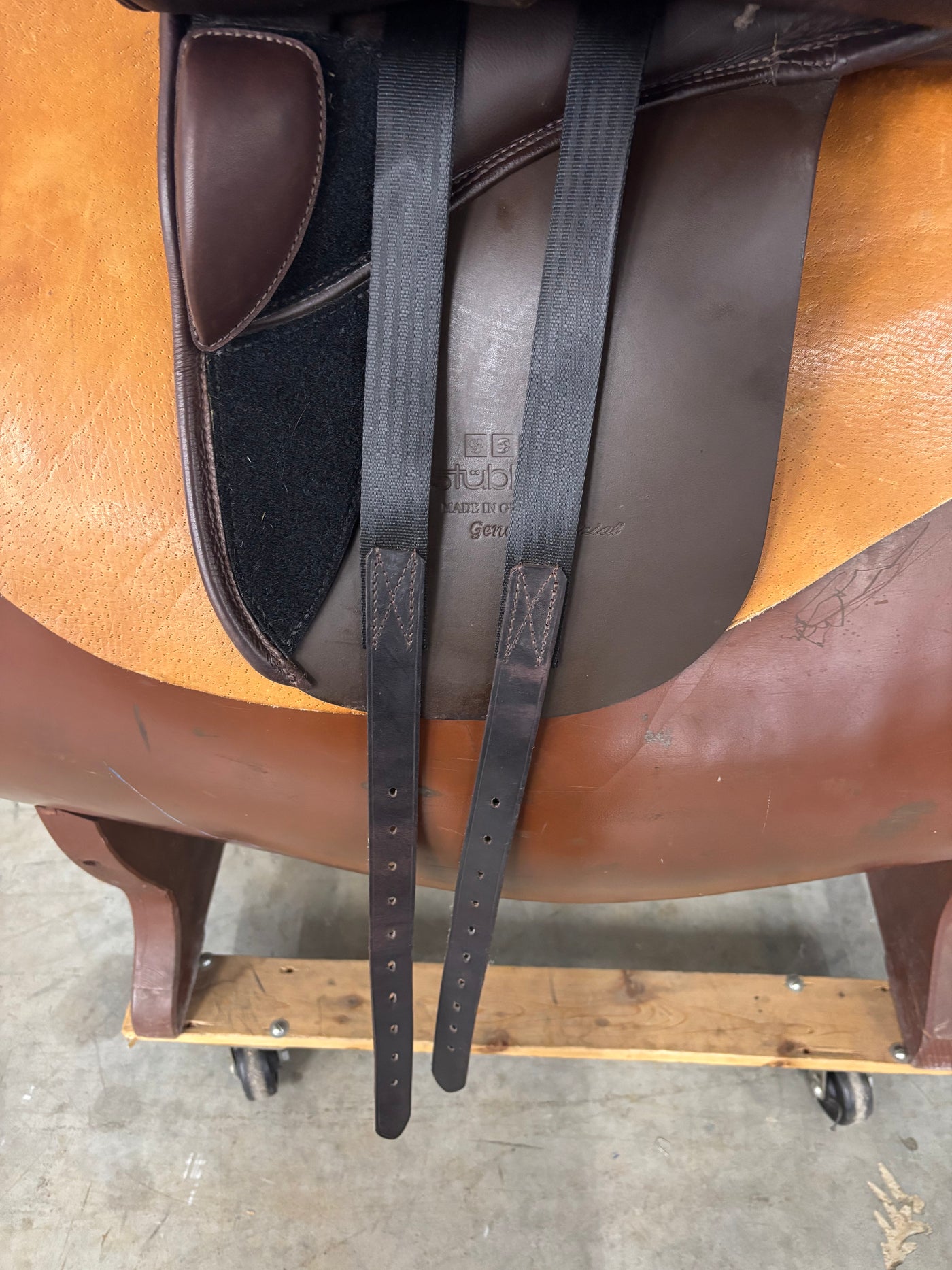 D Genesis Special *17.5"/29cm*