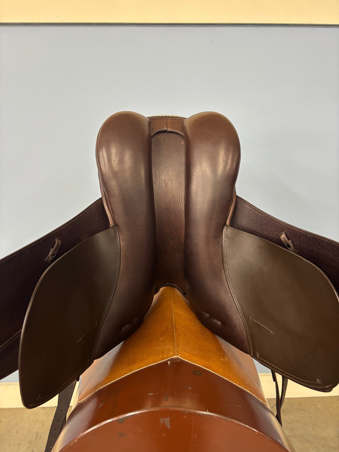 D Genesis Special *17.5"/29cm*