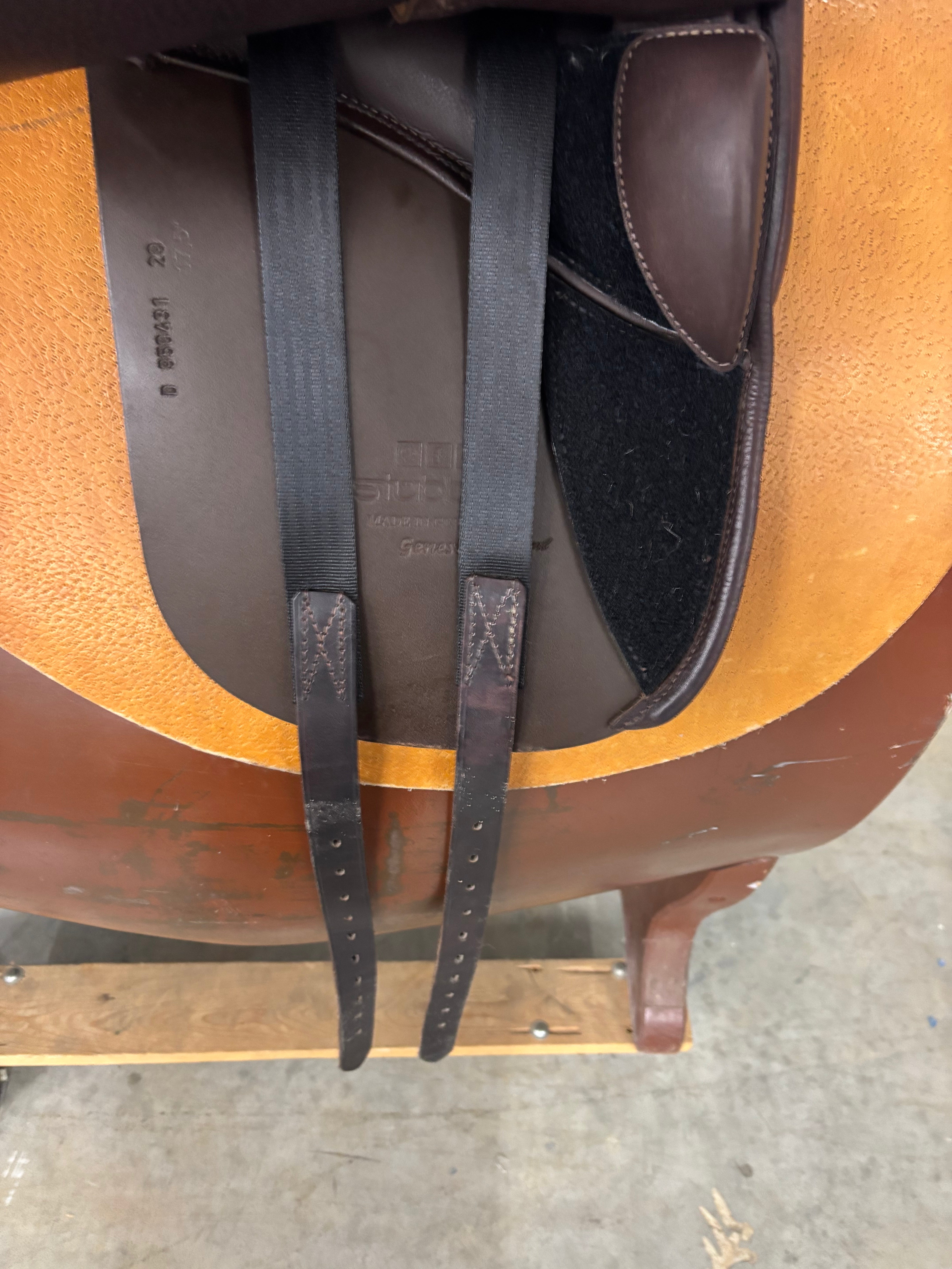 D Genesis Special *17.5"/29cm*