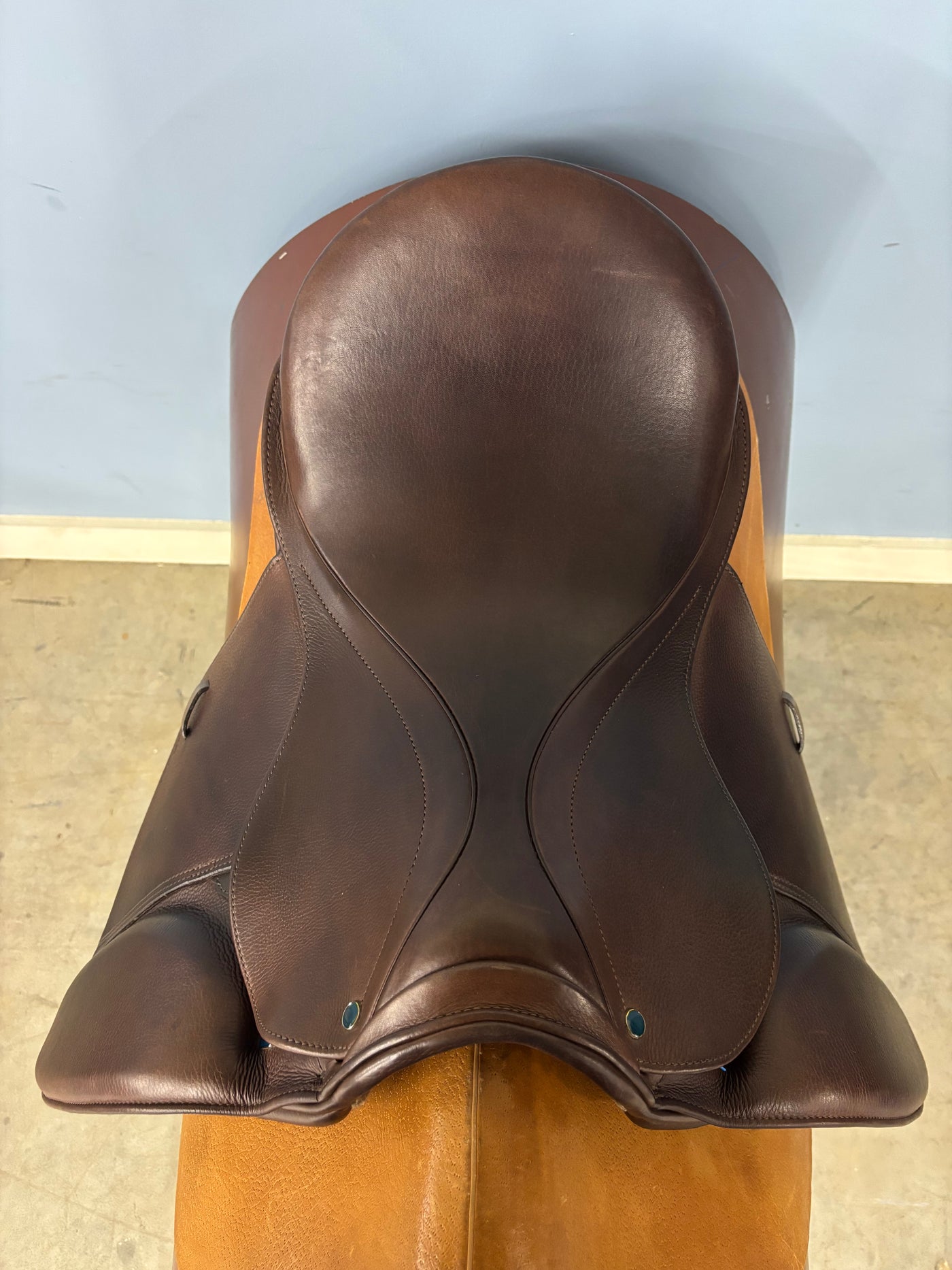 D Genesis Special *17.5"/29cm*