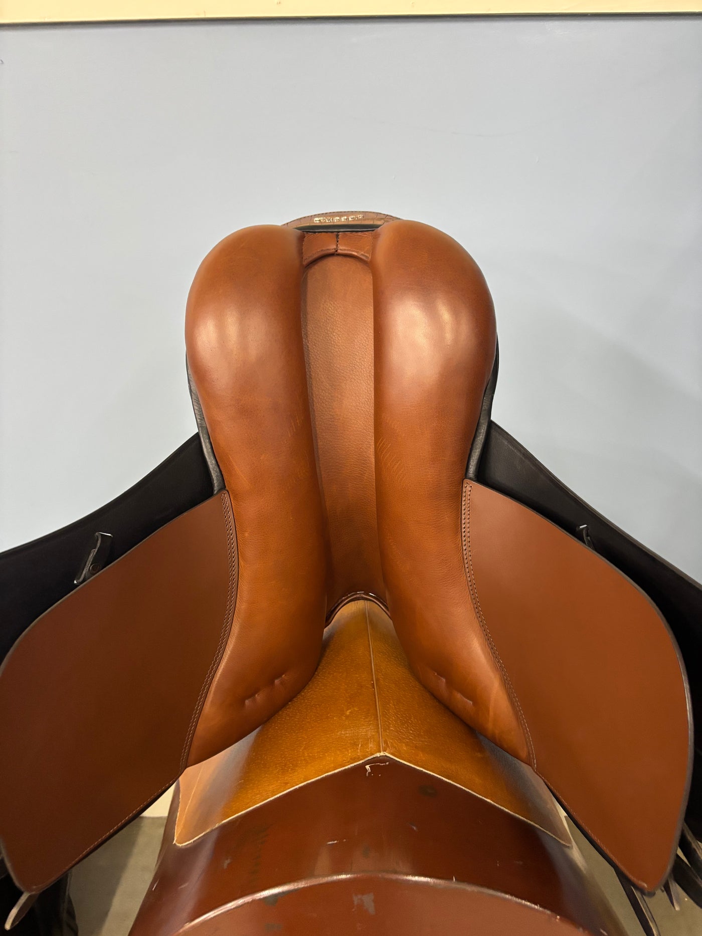 D Genesis Special *18"/28cm*