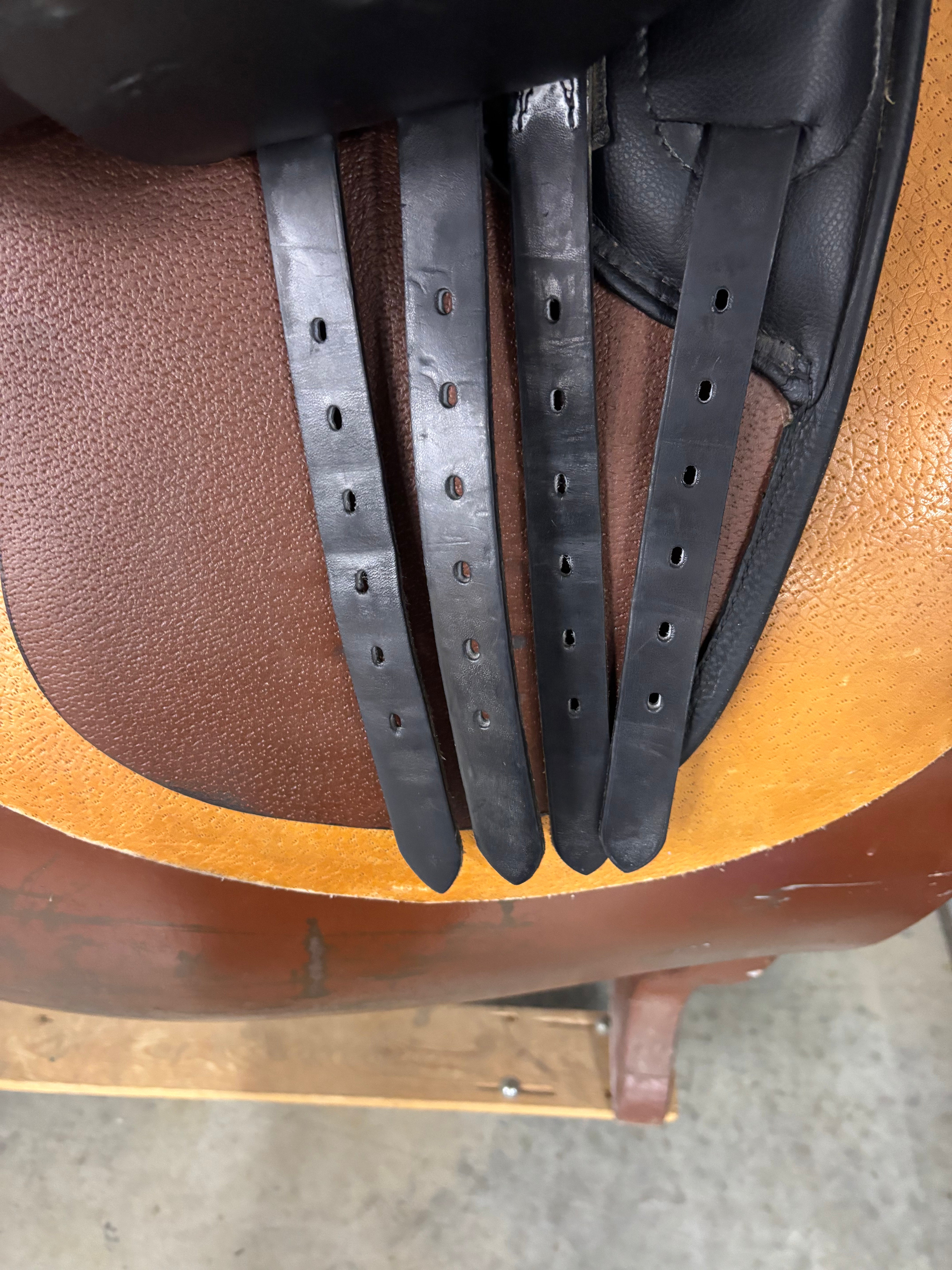 D Genesis Special *18"/28cm*