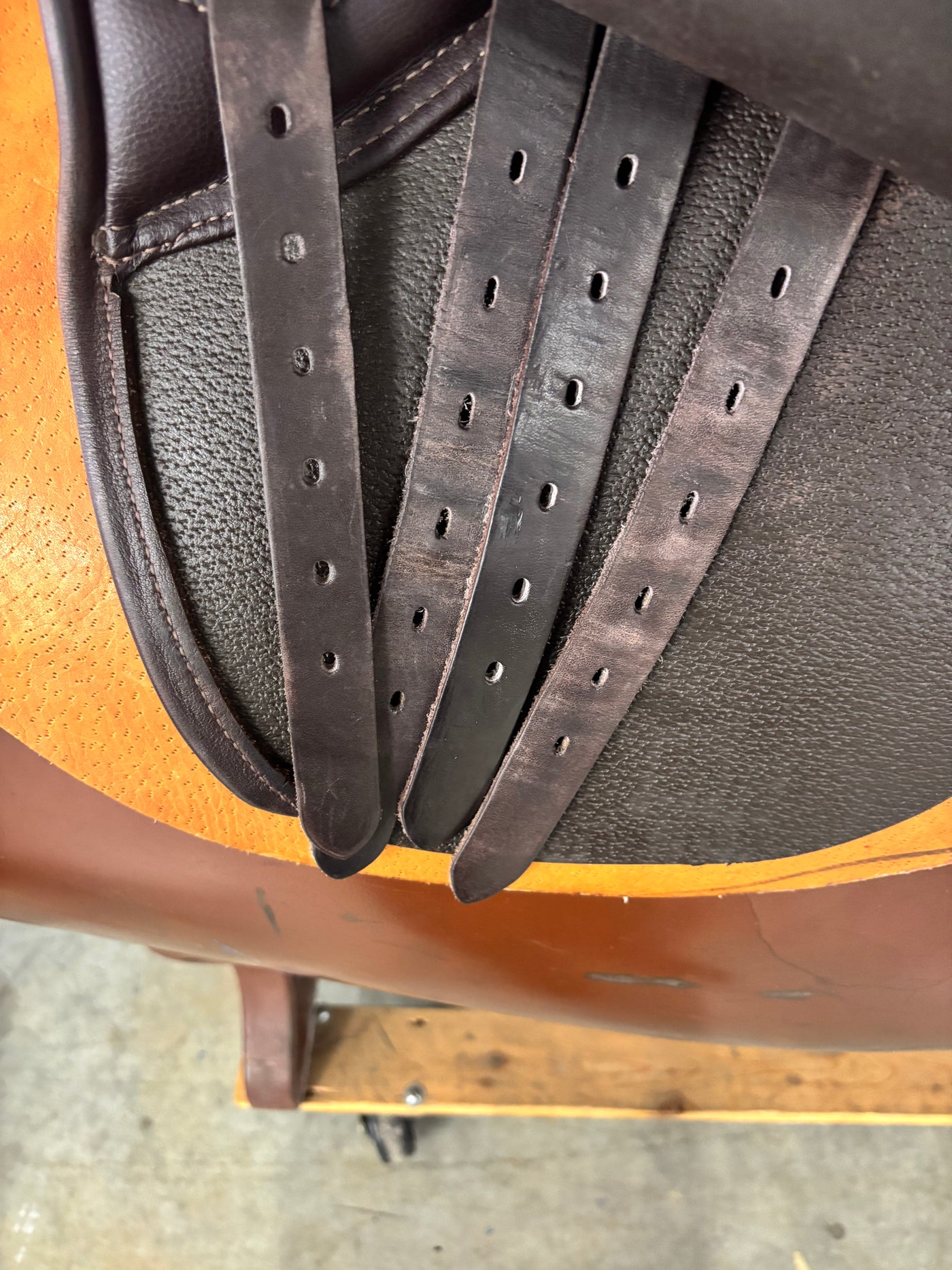 D Genesis Special Magic*18"/28cm*