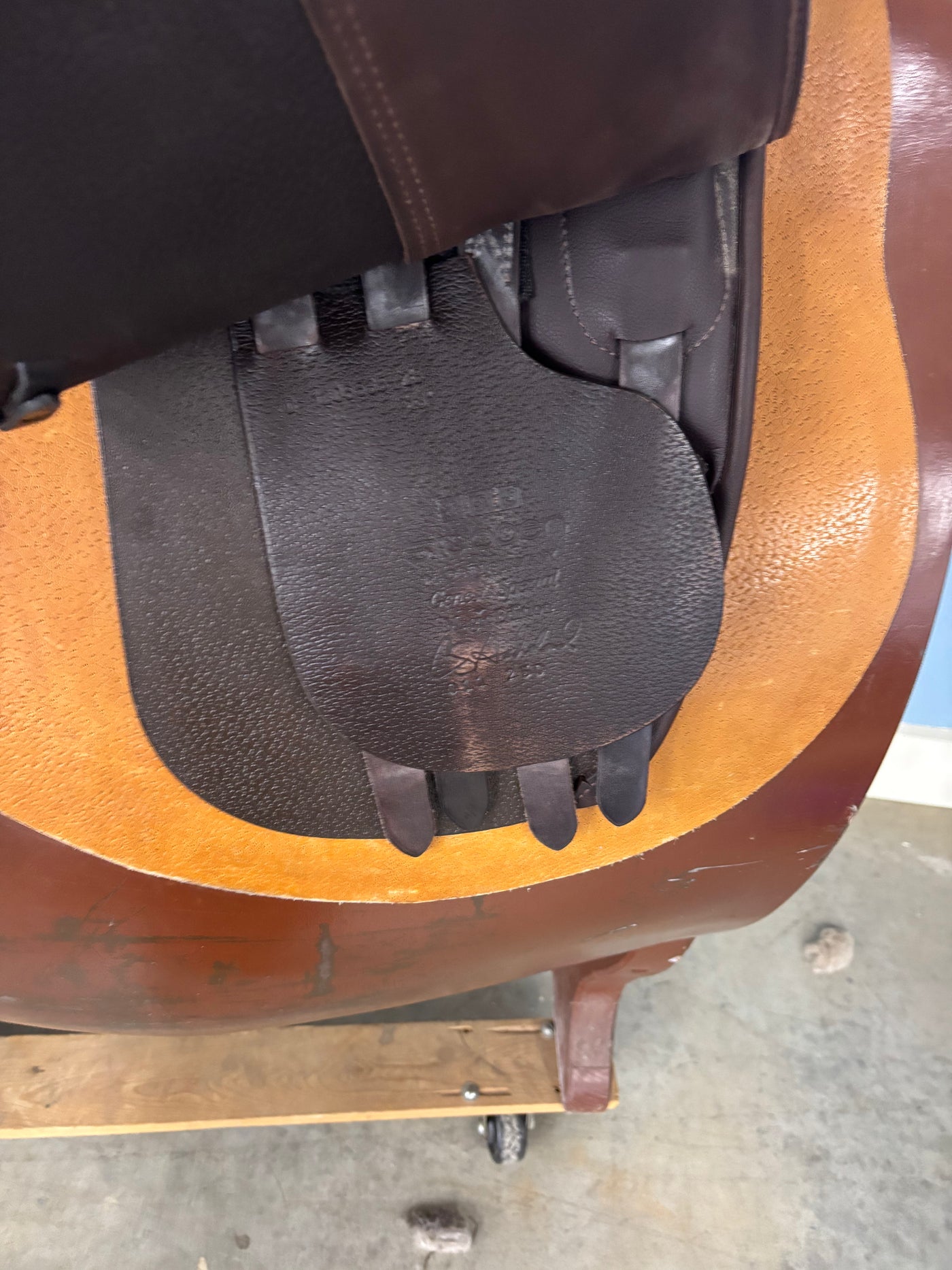 D Genesis Special Magic*18"/28cm*