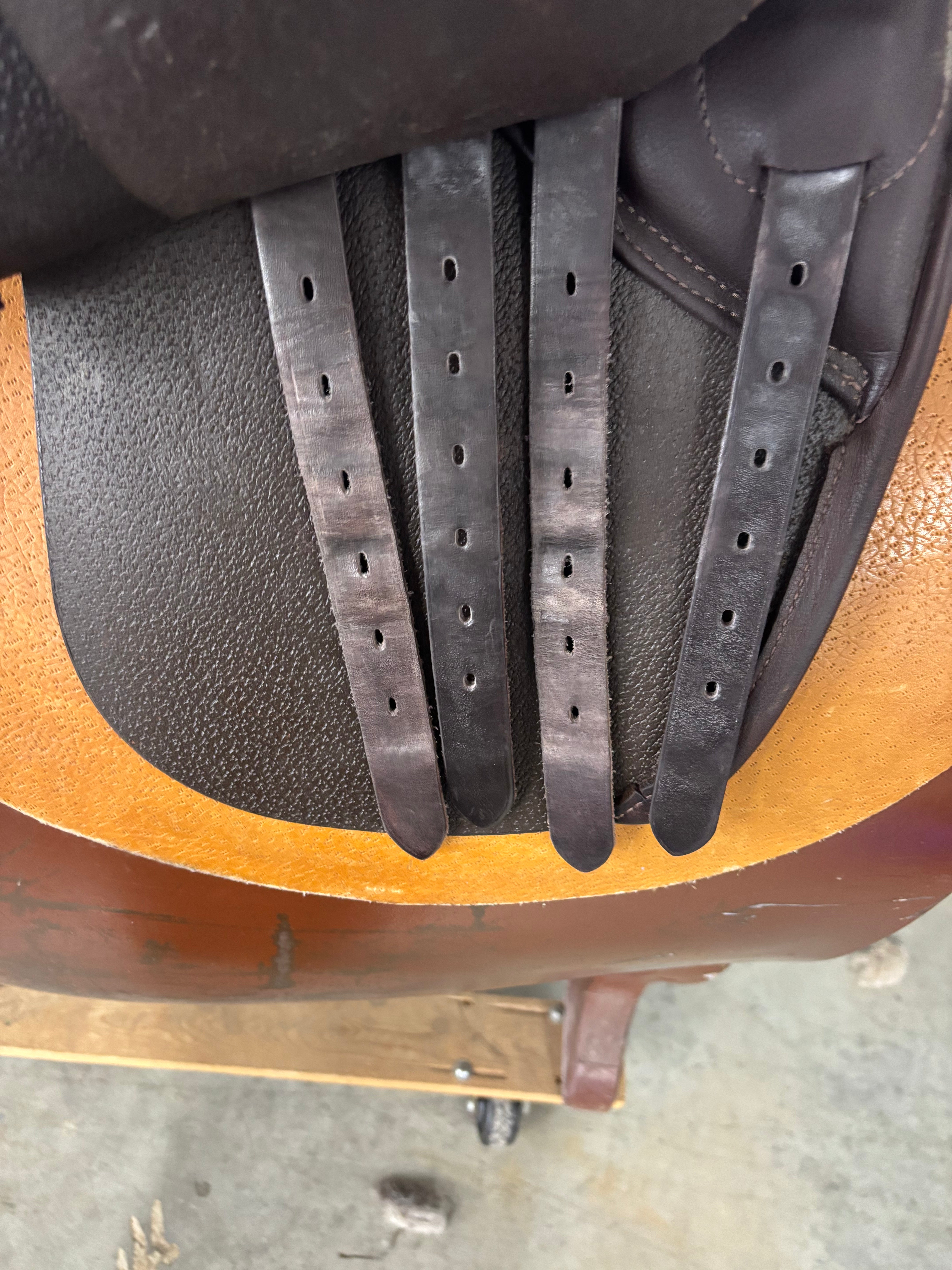 D Genesis Special Magic*18"/28cm*