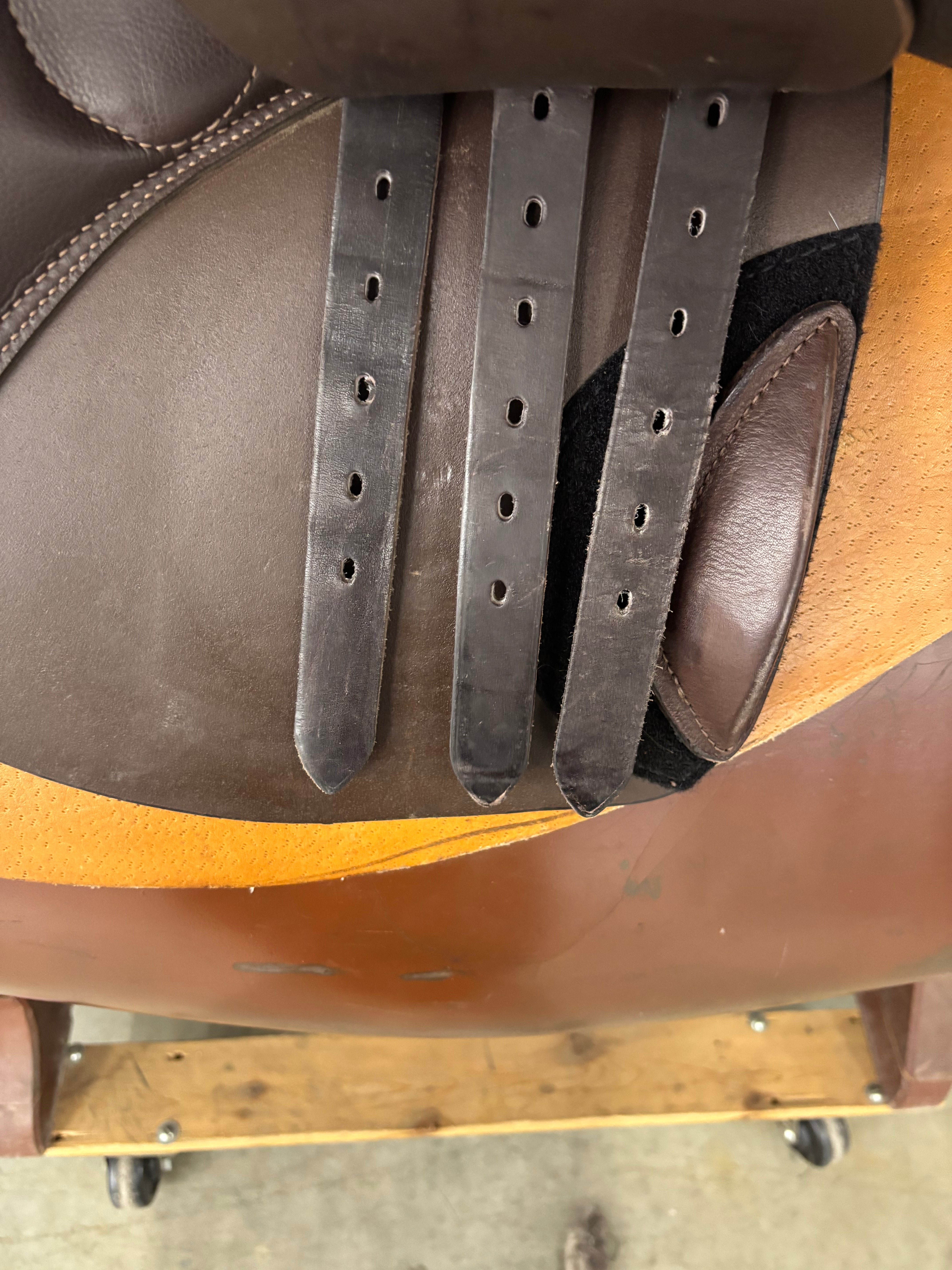 S Phoenix Elite *17.5"/29cm*