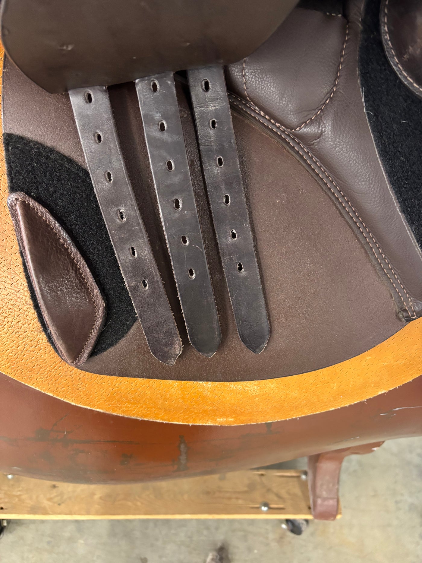 S Phoenix Elite *17.5"/29cm*