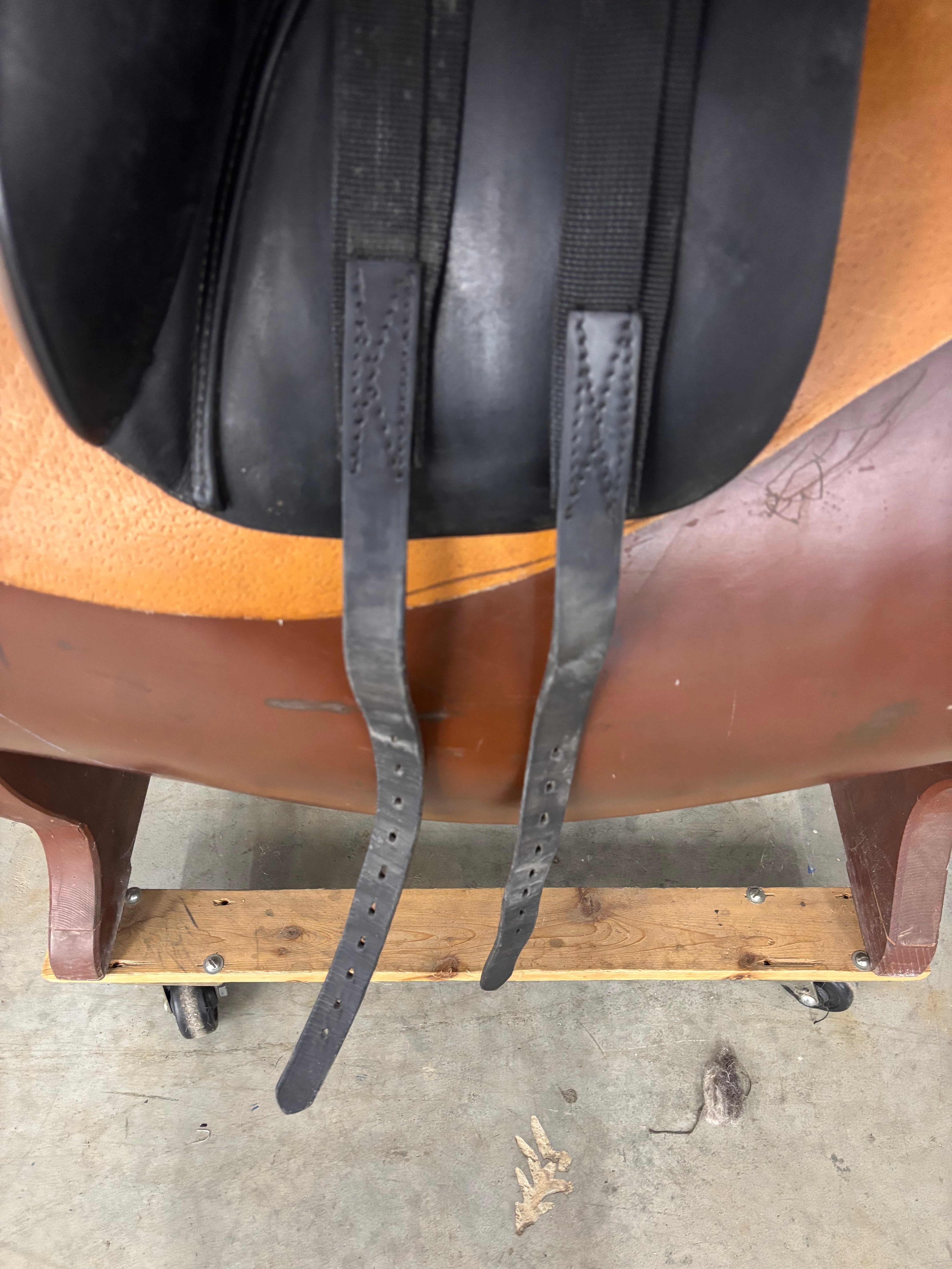 D Serenity *17.5"/27cm*