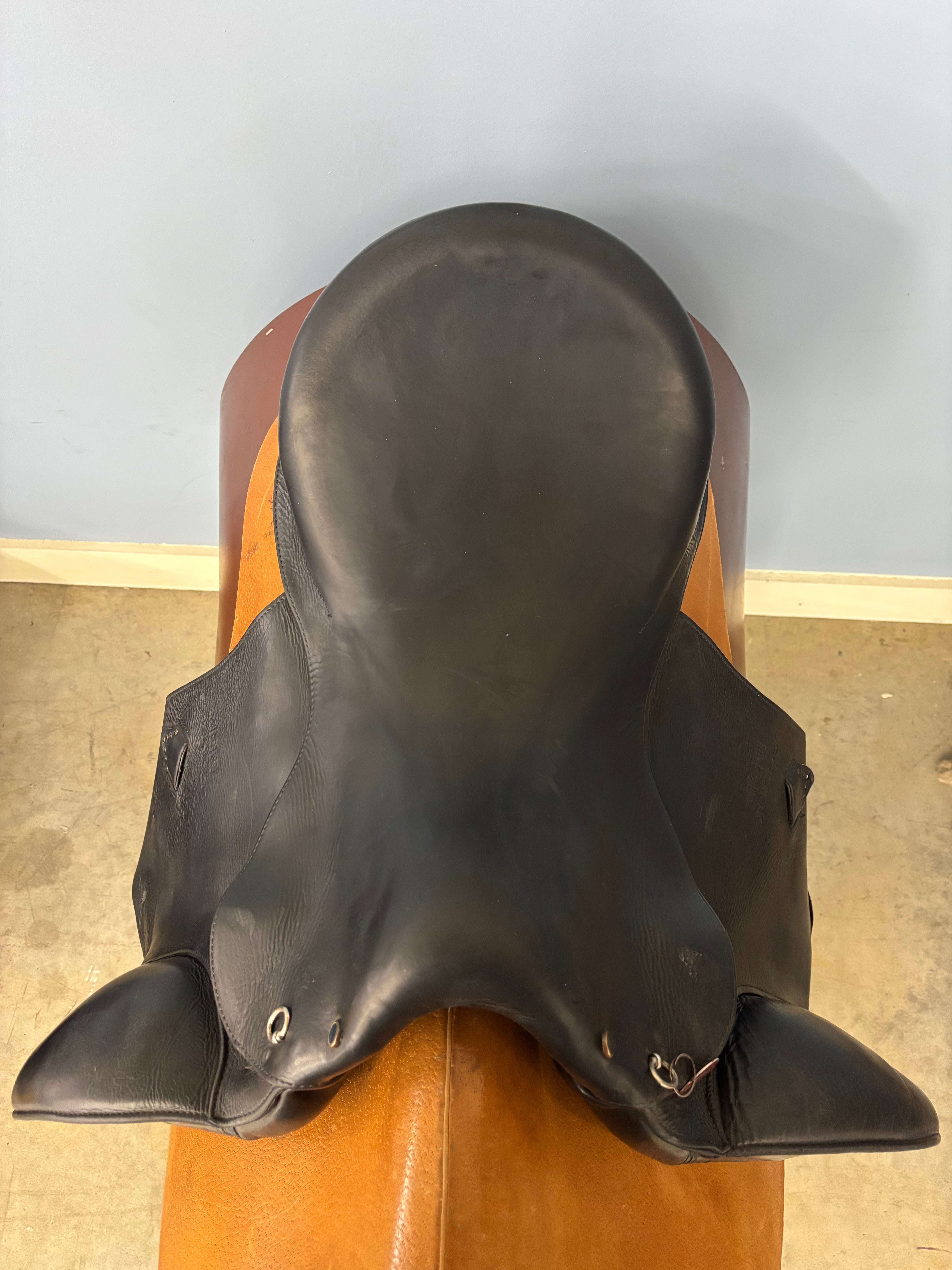 D Serenity *17.5"/27cm*