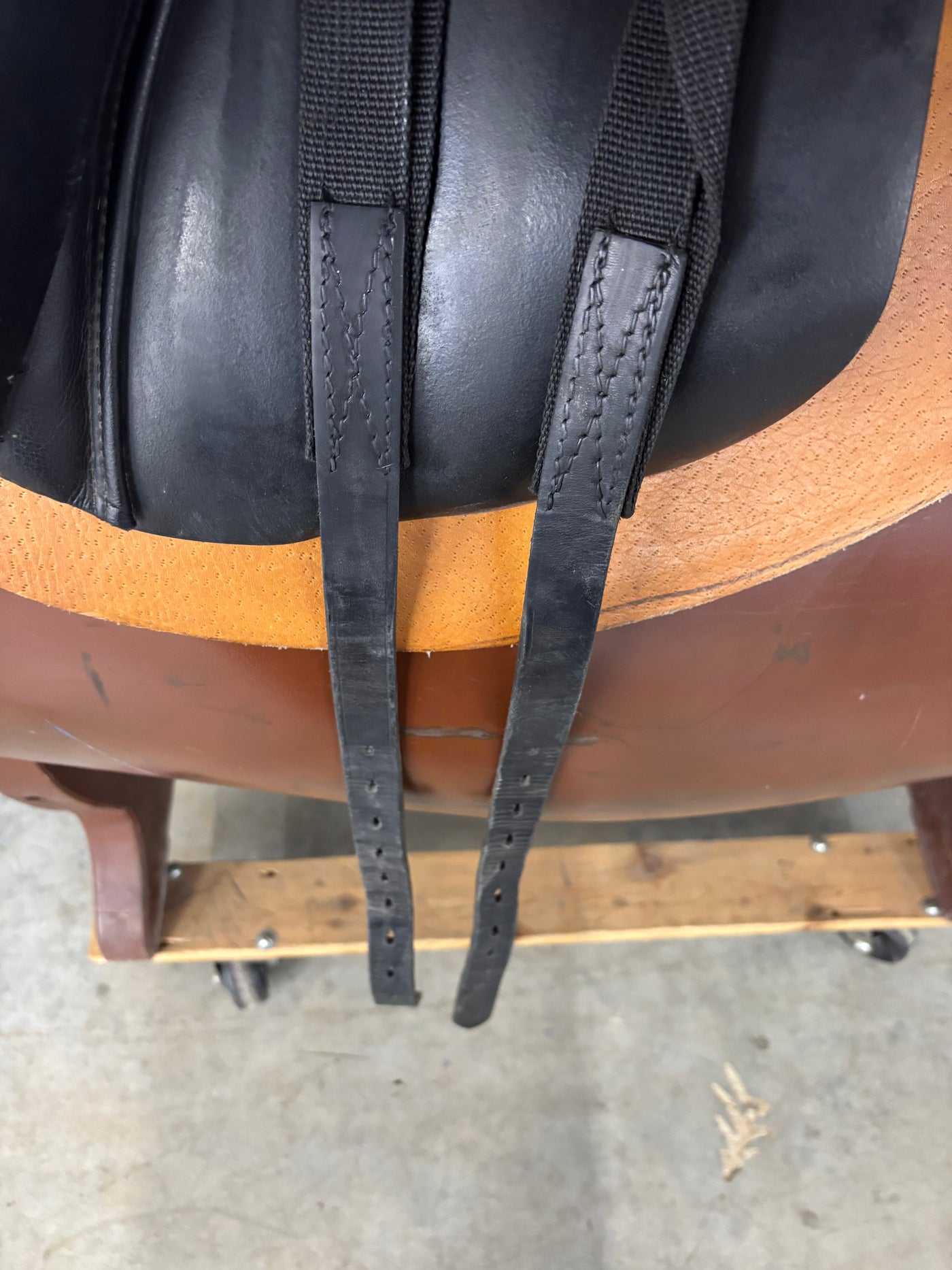 D Serenity *17.5"/27cm*