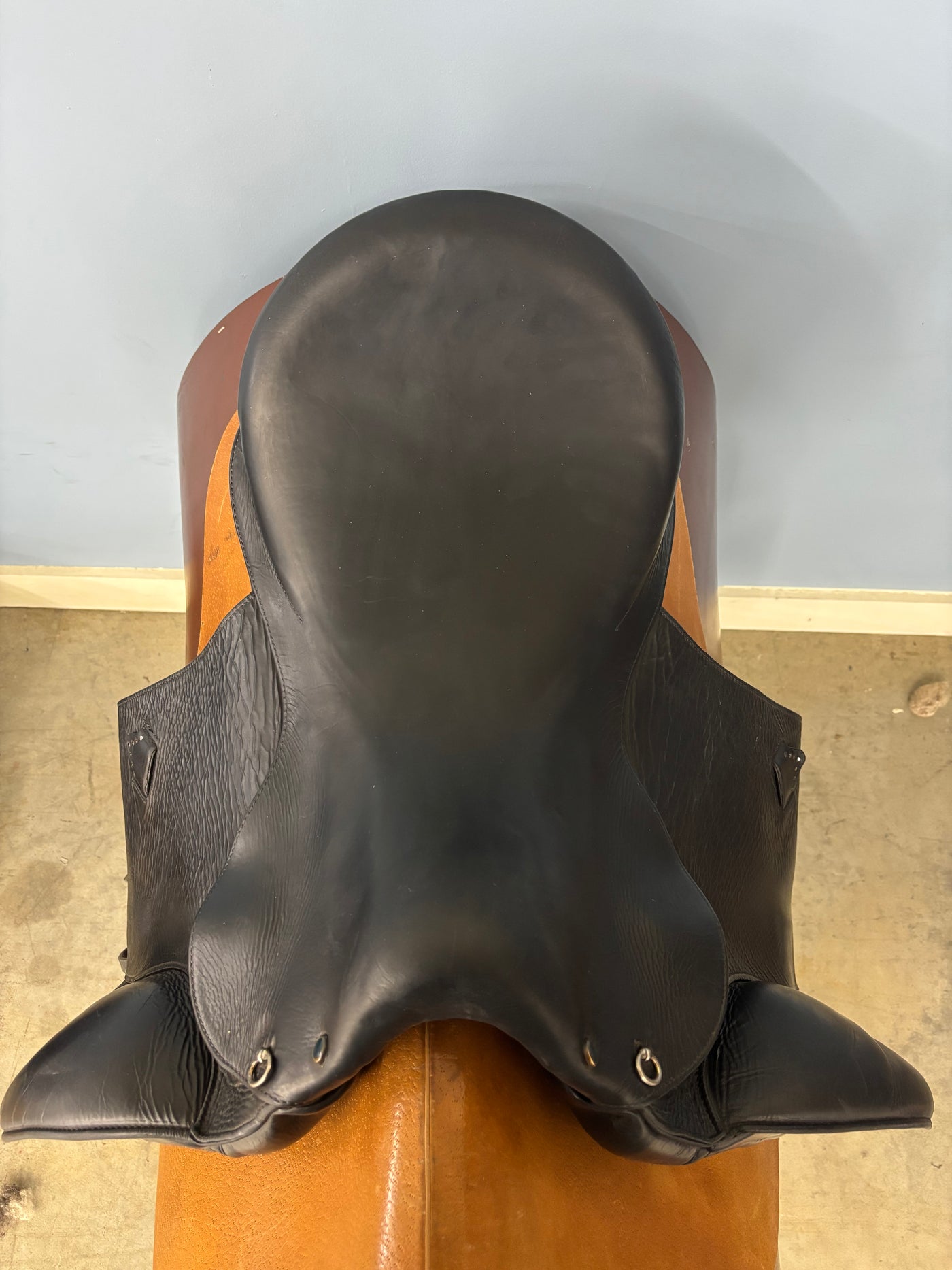 D Serenity *17.5"/27cm*