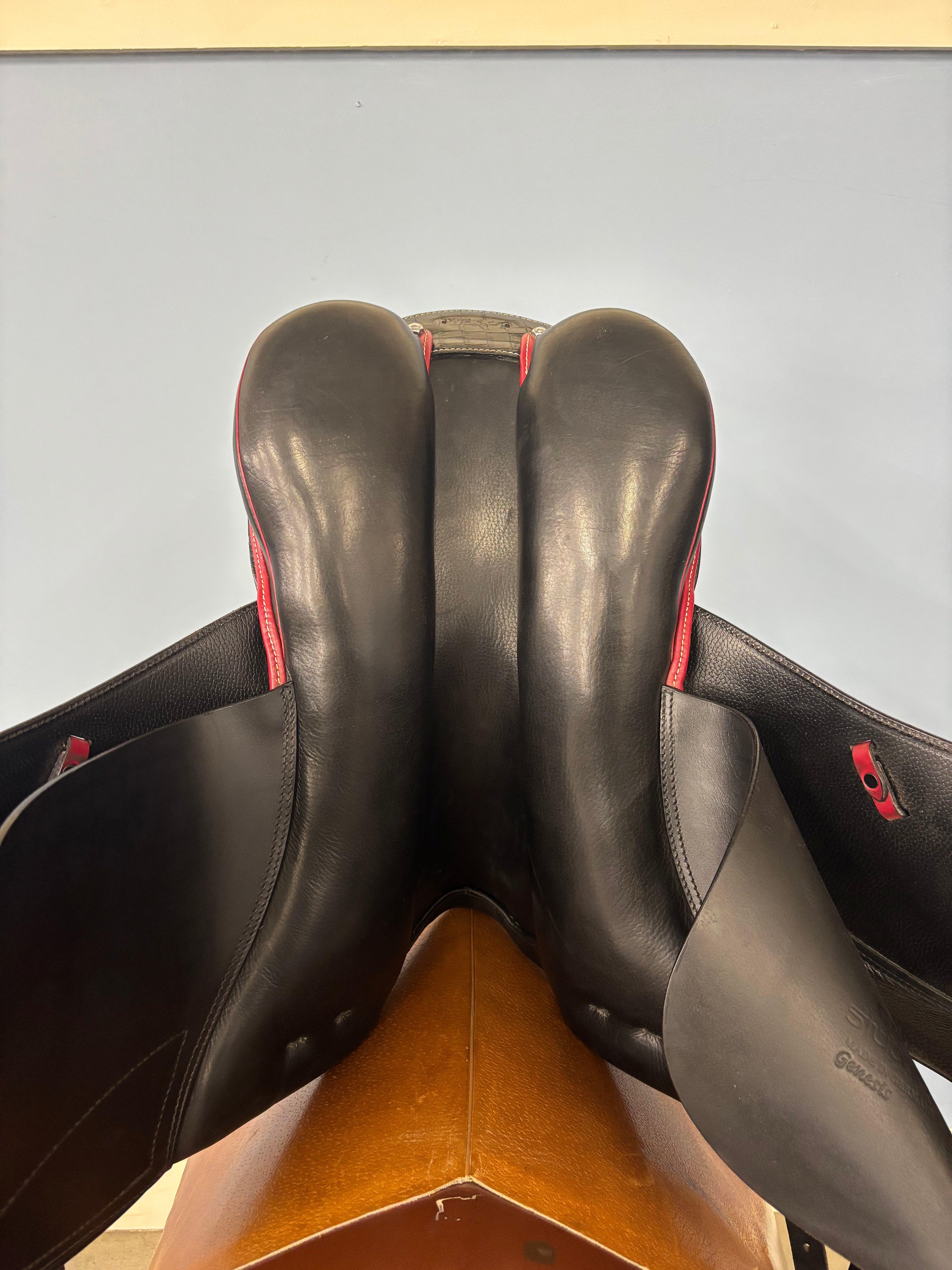 D Genesis 18.5"/31cm