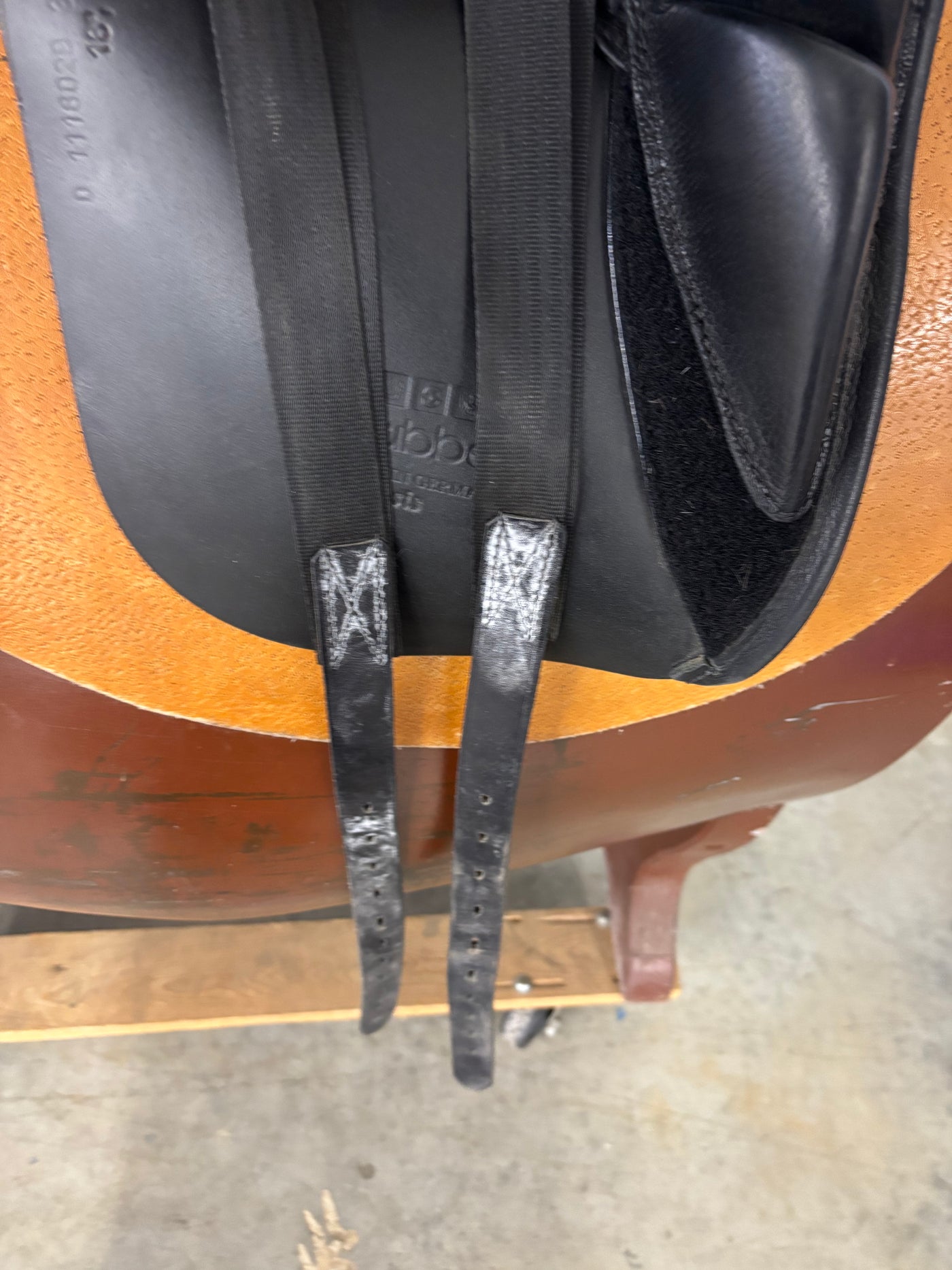 D Genesis 18.5"/31cm