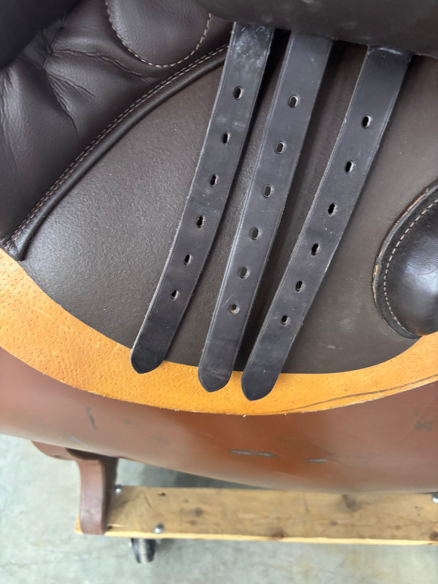 S Phoenix Elite *18"/28cm*