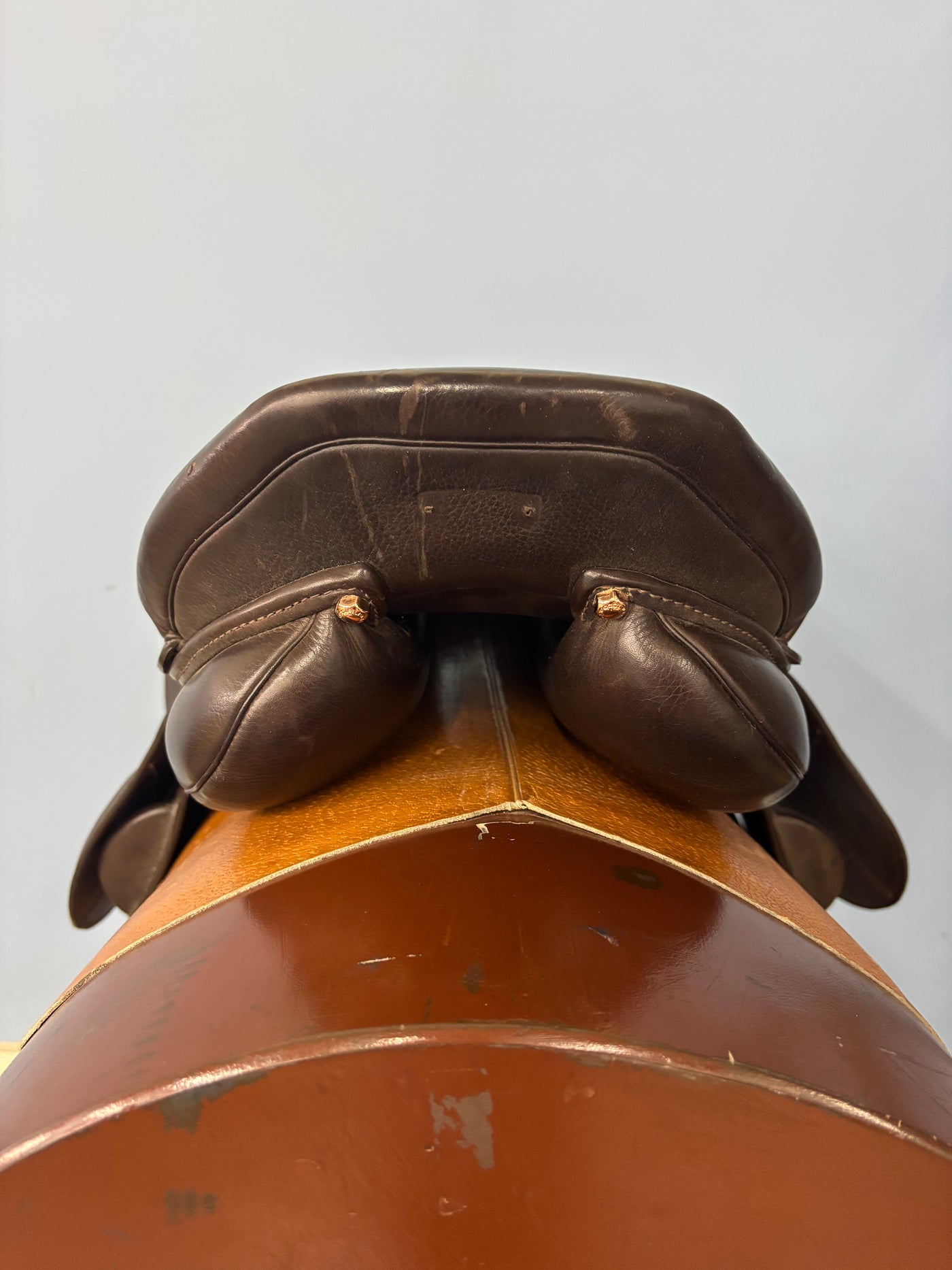 S Phoenix Elite *18"/28cm*