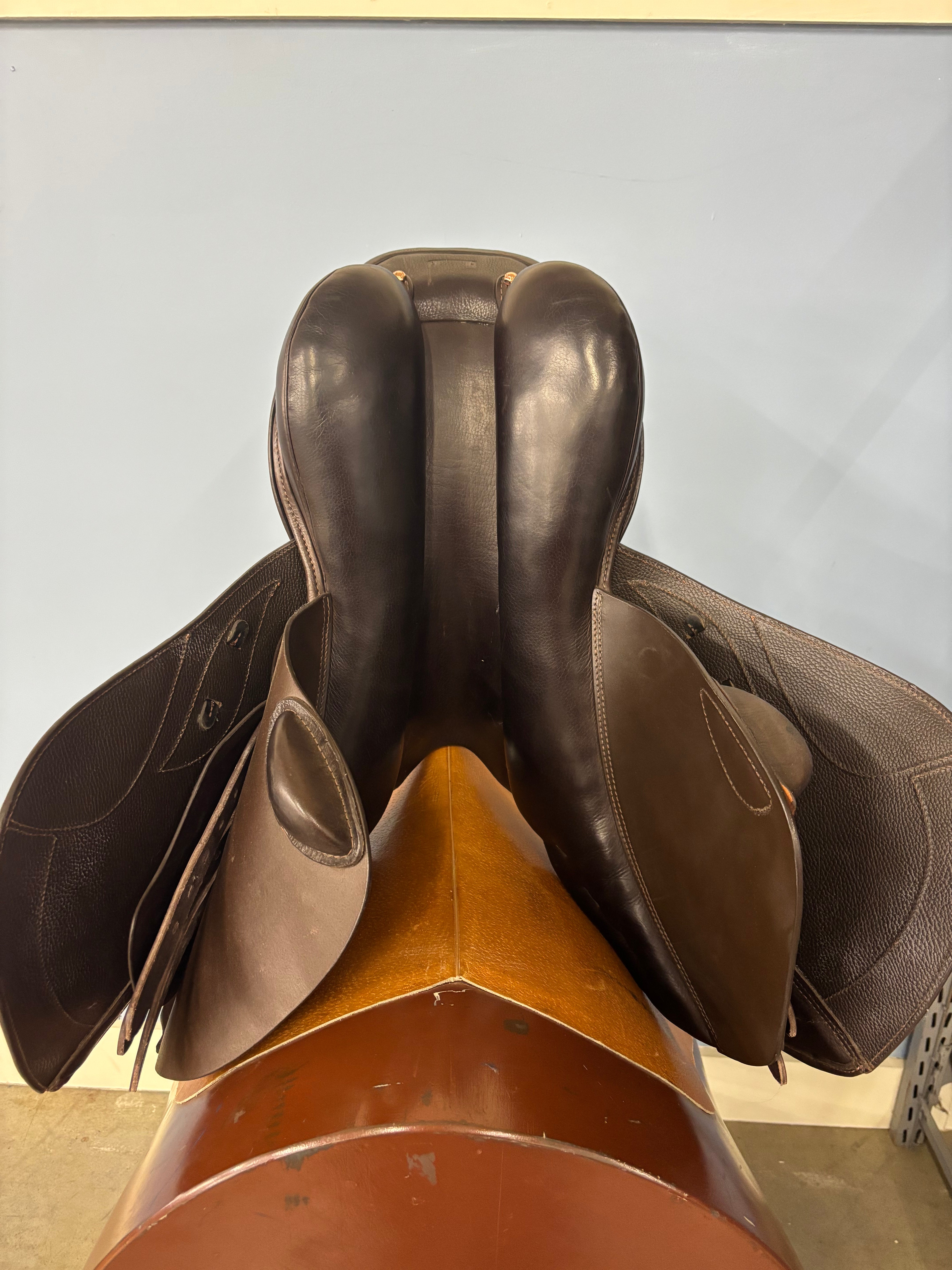 S Phoenix Elite *18"/28cm*