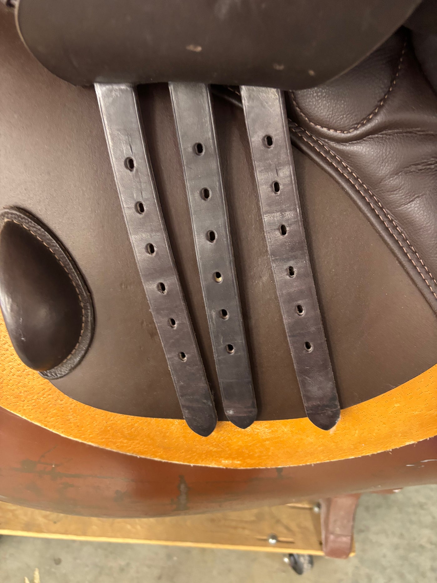 S Phoenix Elite *18"/28cm*