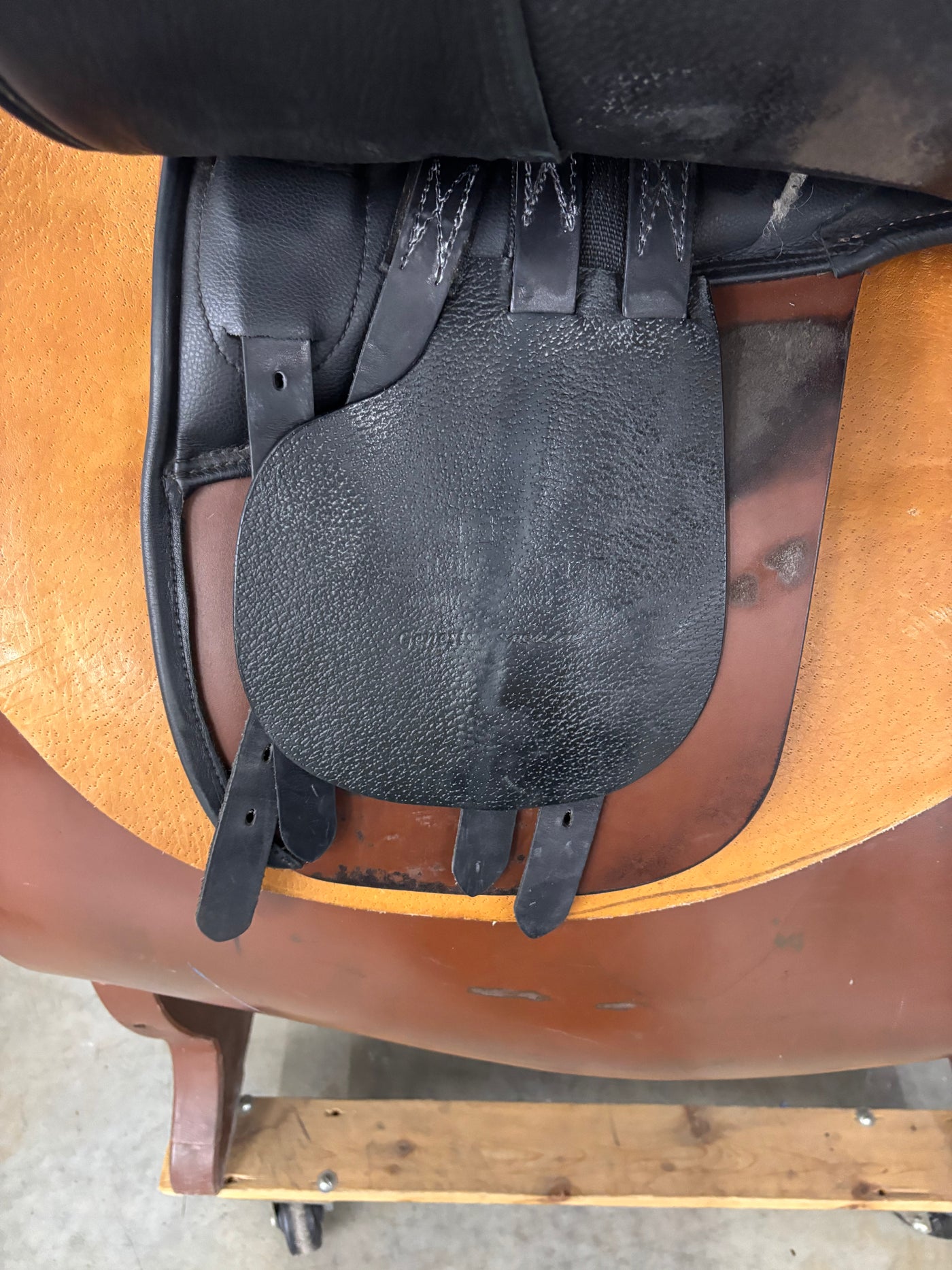 D Genesis Special *18"/30cm*