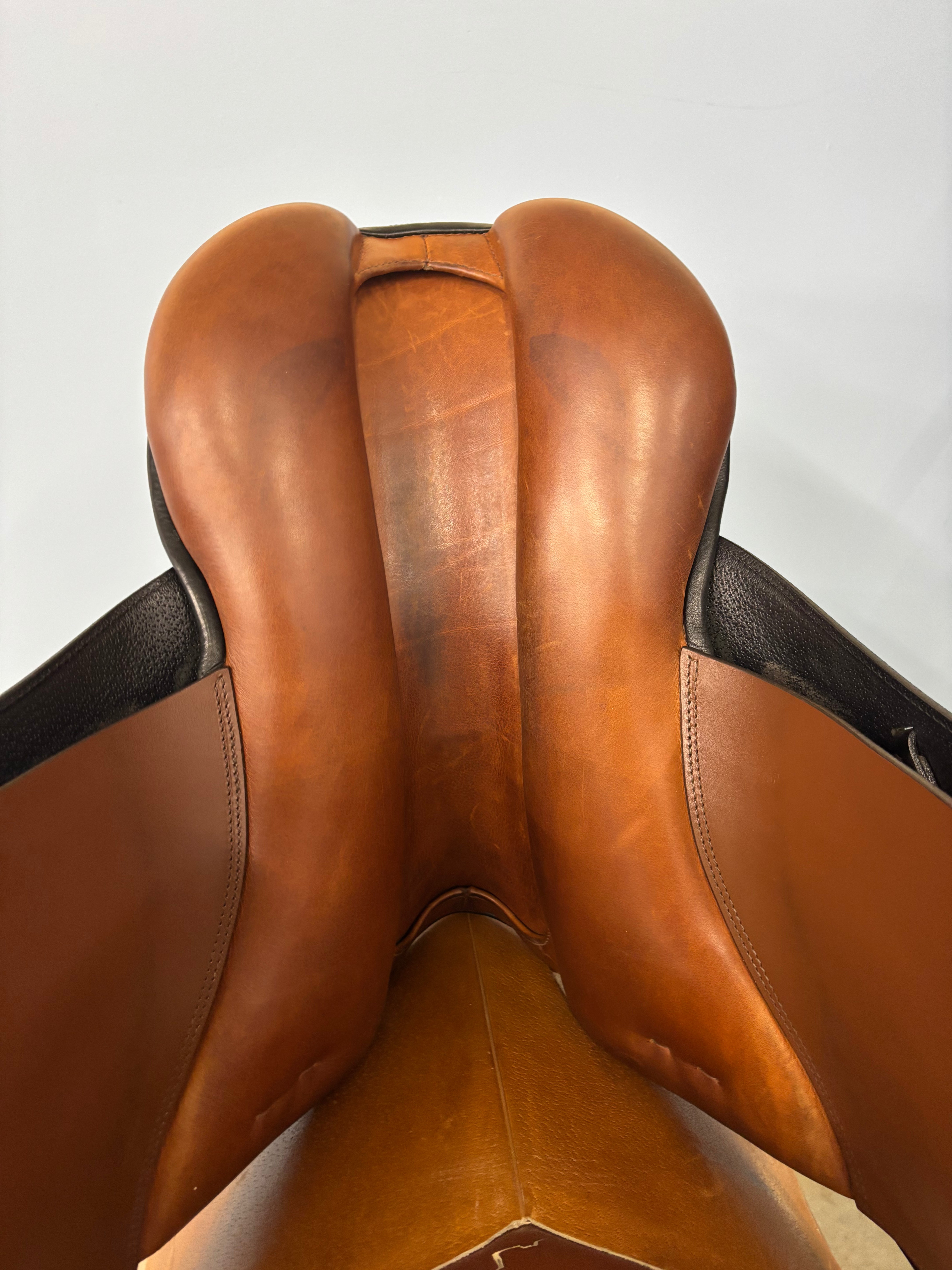 D Genesis Special *18"/30cm*