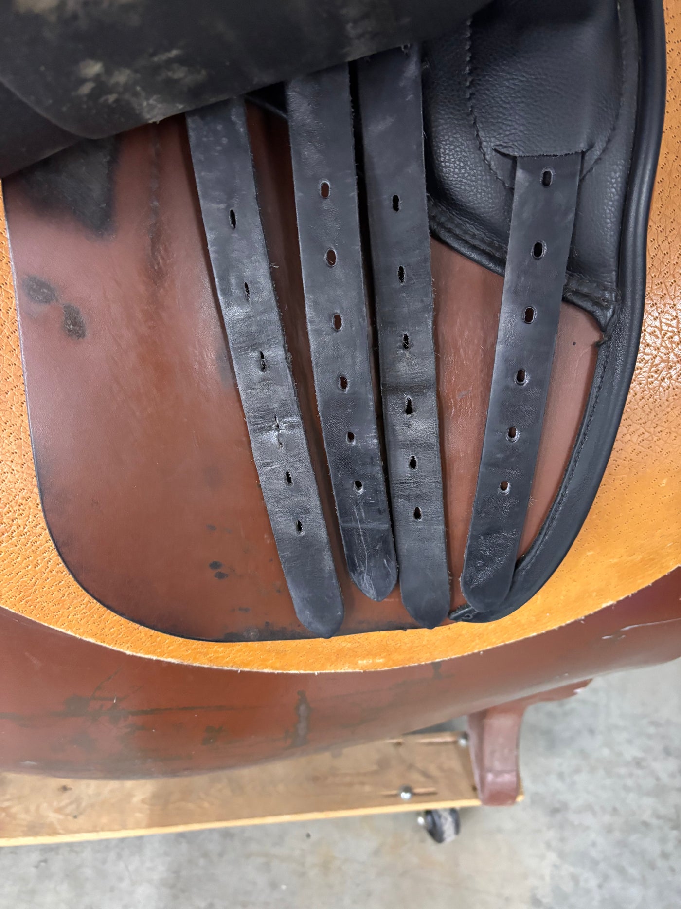 D Genesis Special *18"/30cm*