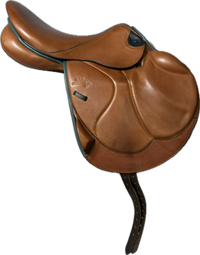 S Zaria Optimum *18"/29cm*