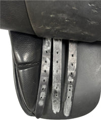 D Genesis Special *18"/30cm*