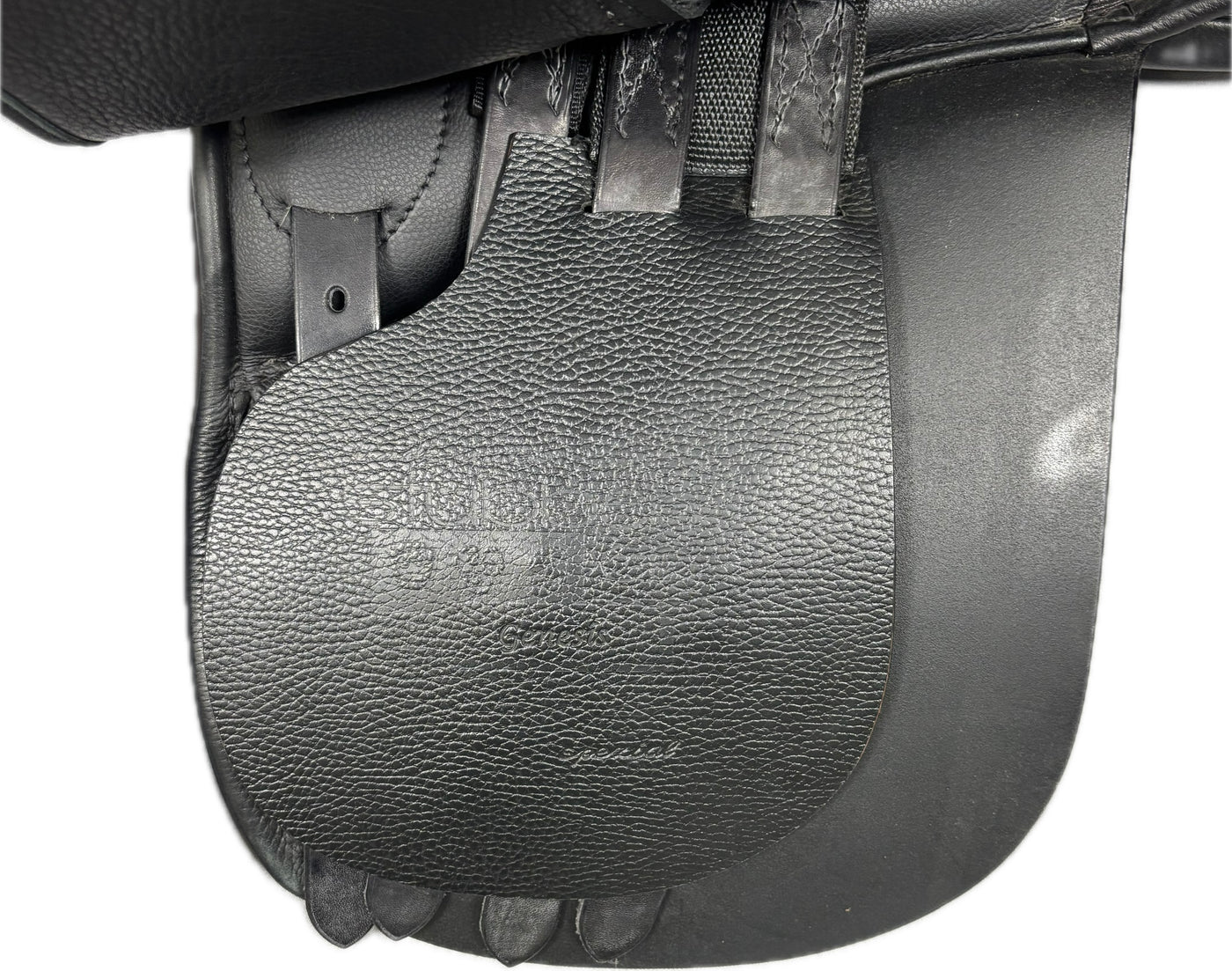 D Genesis Special *18.5"/29cm*