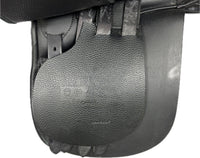D Genesis Special *18.5"/29cm*
