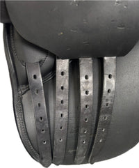 D Genesis Special *18.5"/29cm*