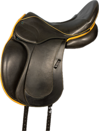 D Aramis II Grand Prix *17.5"/27cm*