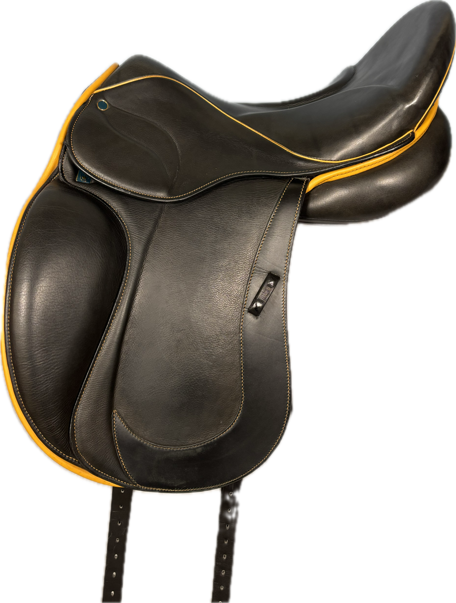 D Aramis II Grand Prix *17.5"/27cm*