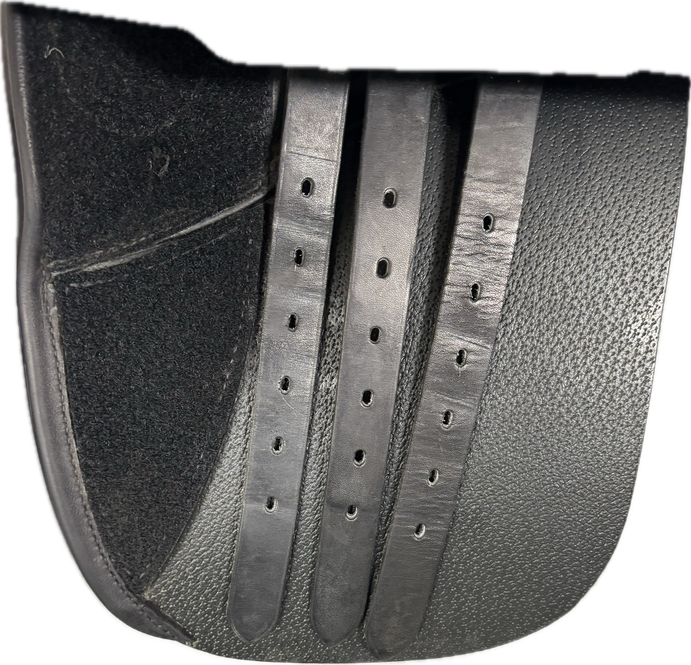 D Genesis Special *18"/28cm*