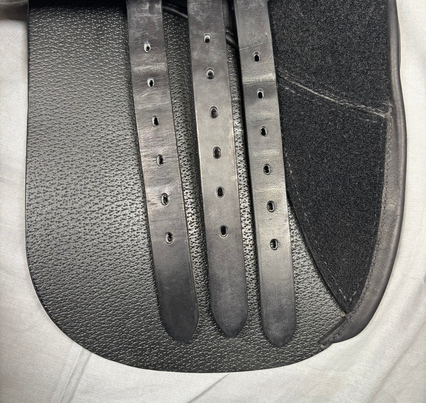 D Genesis Special *18"/28cm*