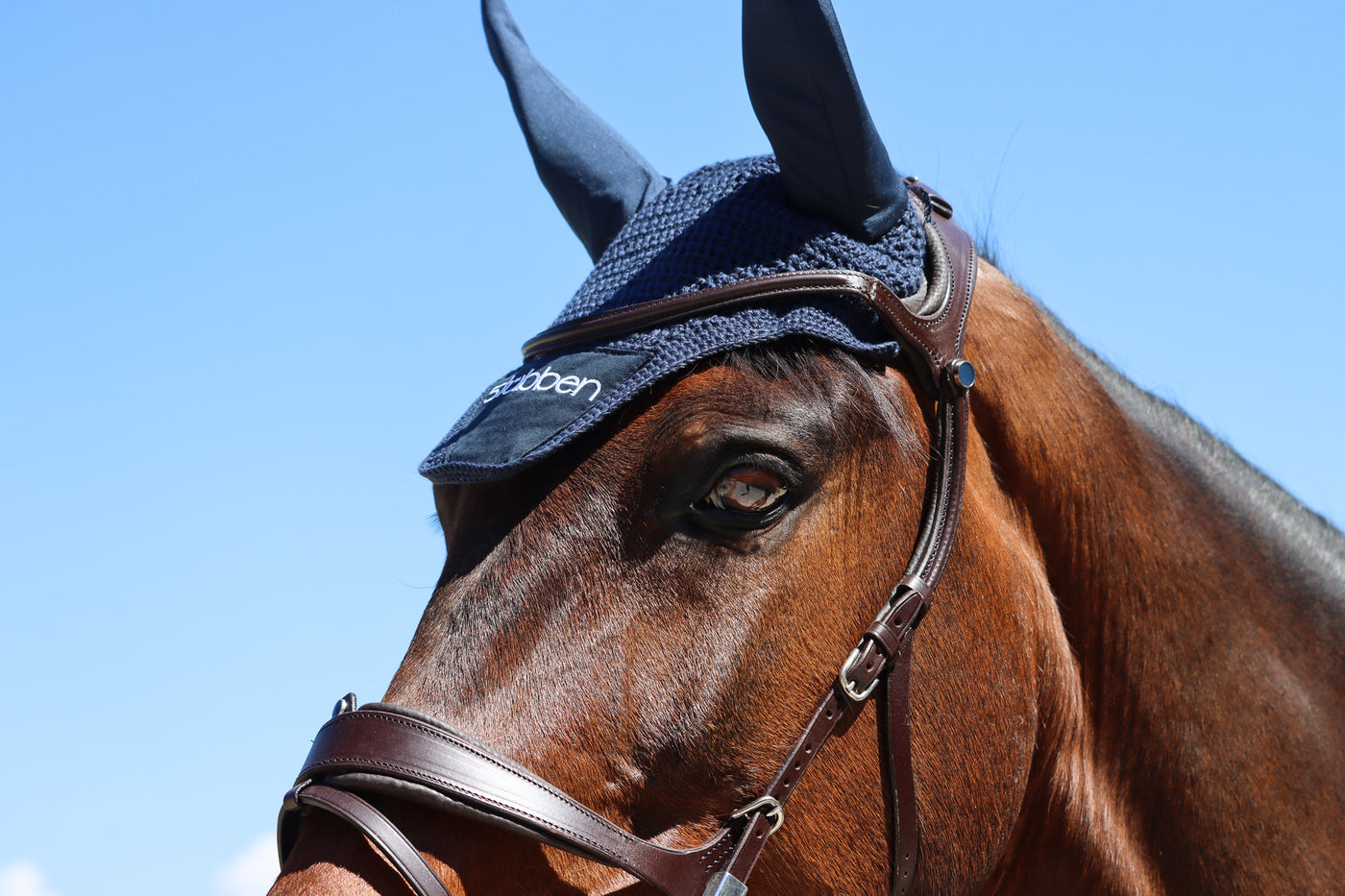 Hook Stud Freedom II Bridle