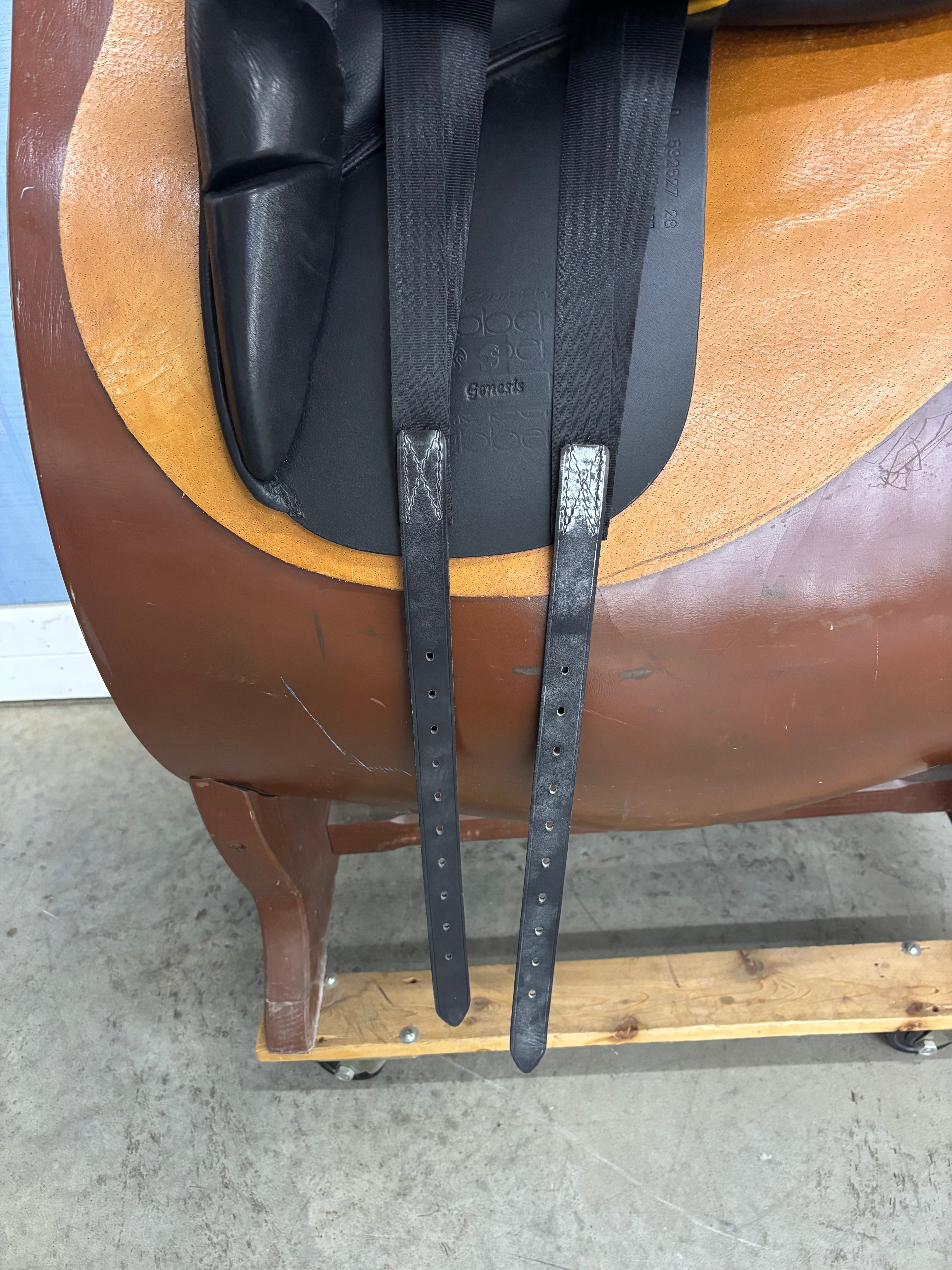 D Genesis 18"/28cm
