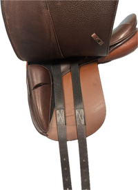 D Genesis Special *17.5"/27cm*